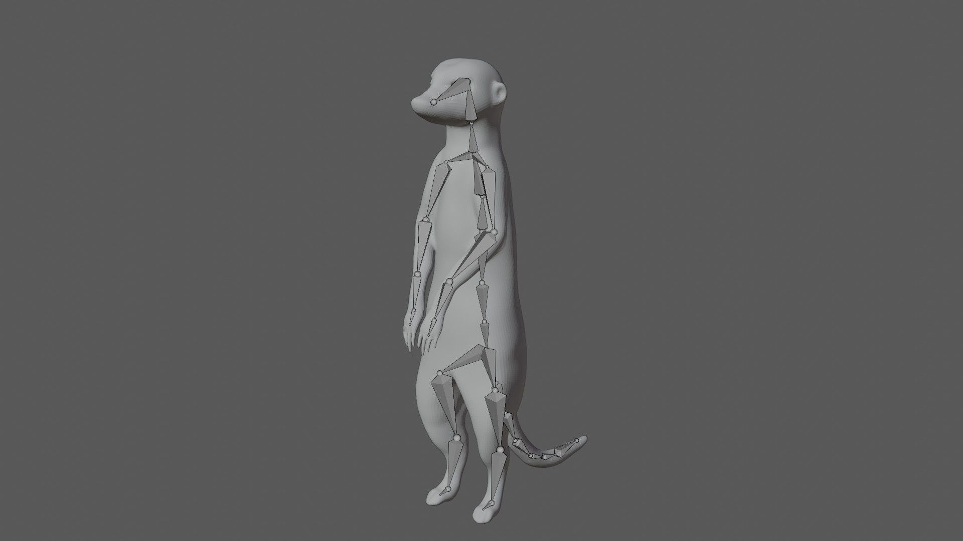 Meerkat Low-poly 3D model_9