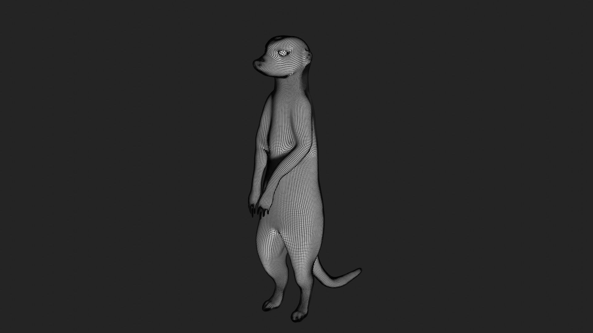 Meerkat Low-poly 3D model_10