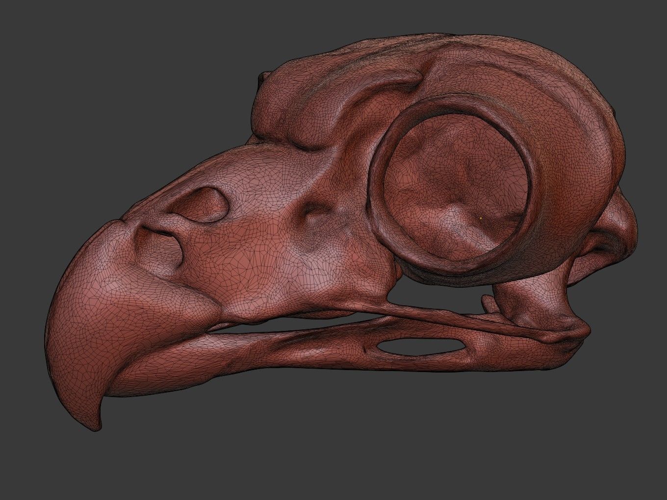 Cranium Owl Charm 3D print model_11