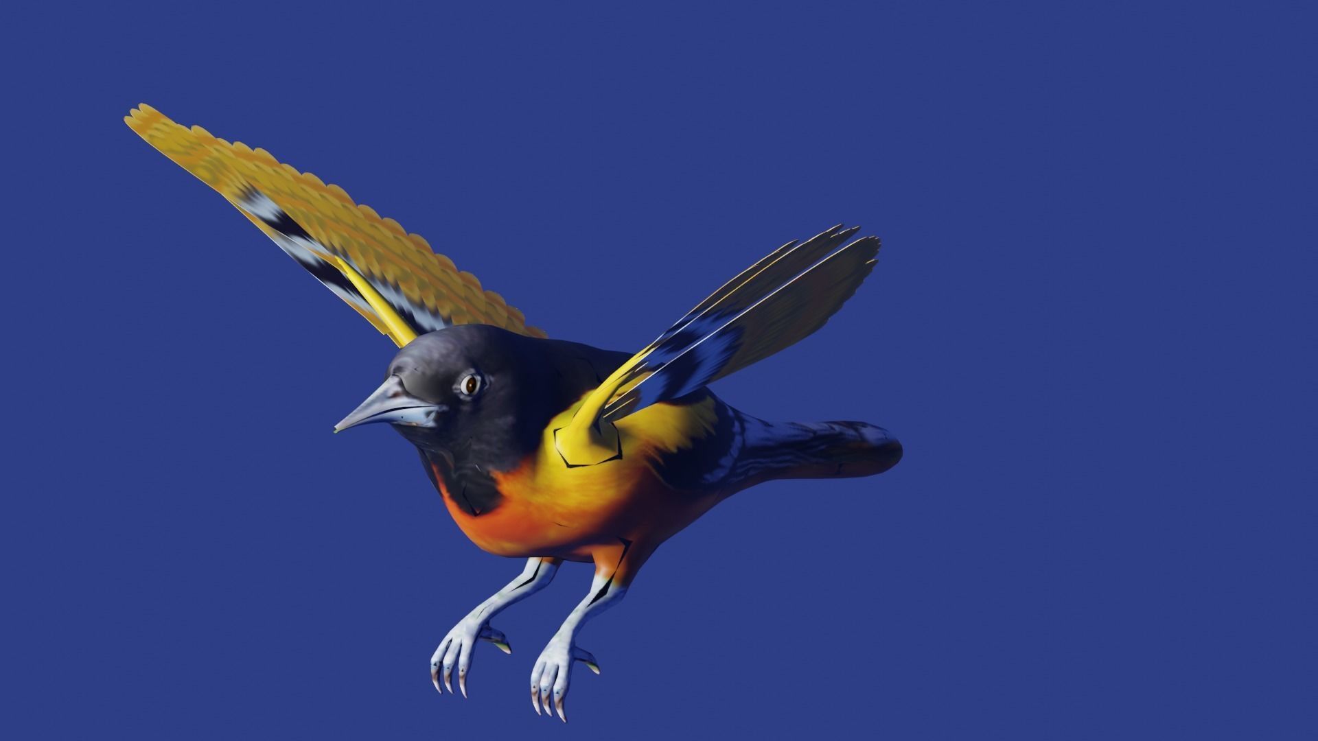 AMERICAN YELLOW BIRD Low-poly 3D model_6