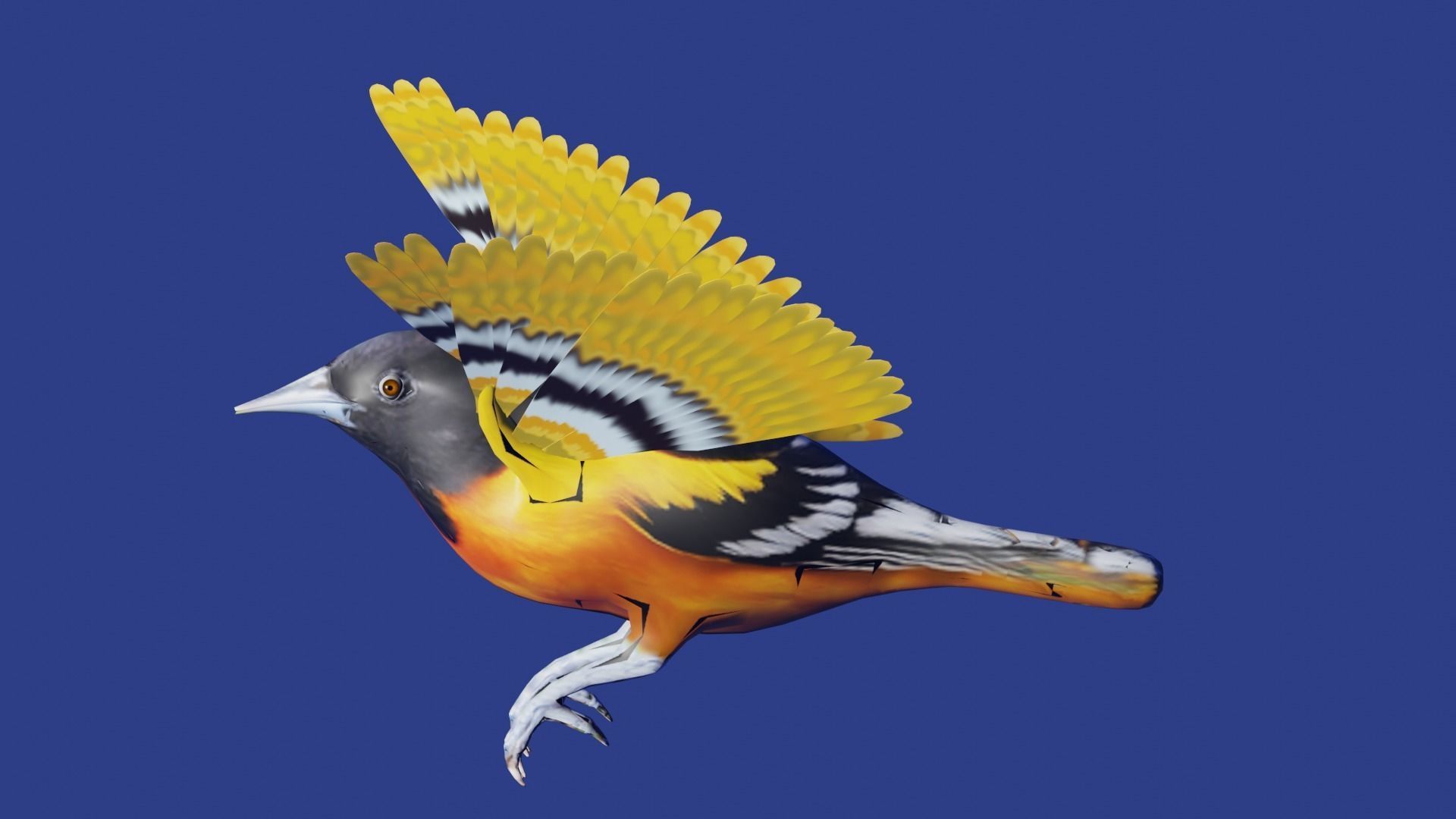 AMERICAN YELLOW BIRD Low-poly 3D model_5