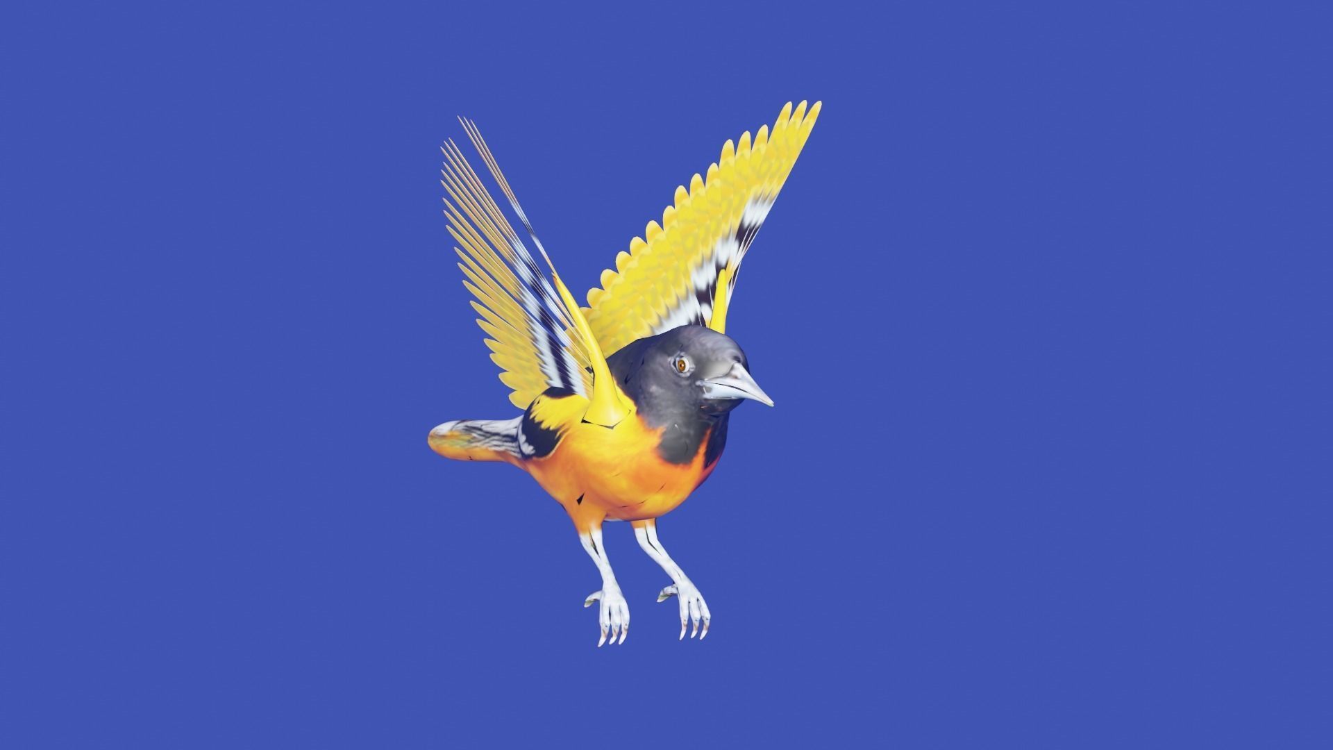 AMERICAN YELLOW BIRD Low-poly 3D model_3