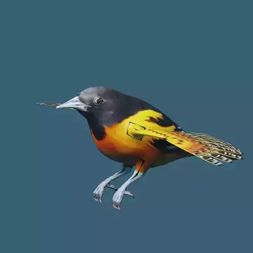AMERICAN YELLOW BIRD Low-poly 3D model