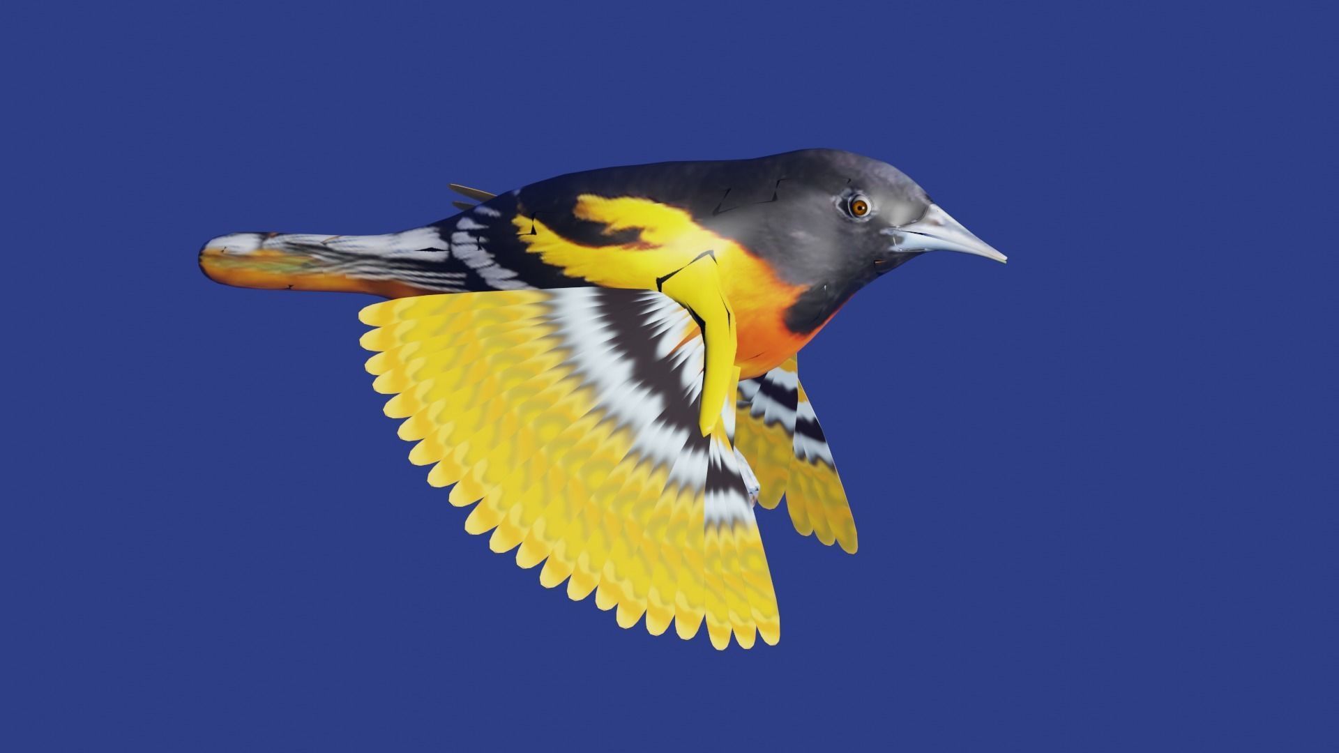 AMERICAN YELLOW BIRD Low-poly 3D model_4