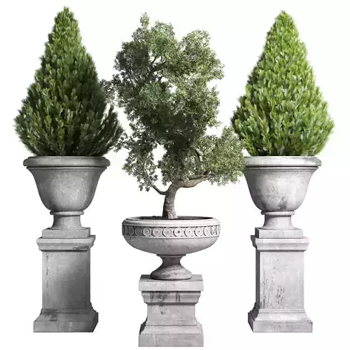  Outdoor plant 44- tree thuja bonsai concrete old classic vase 3D model