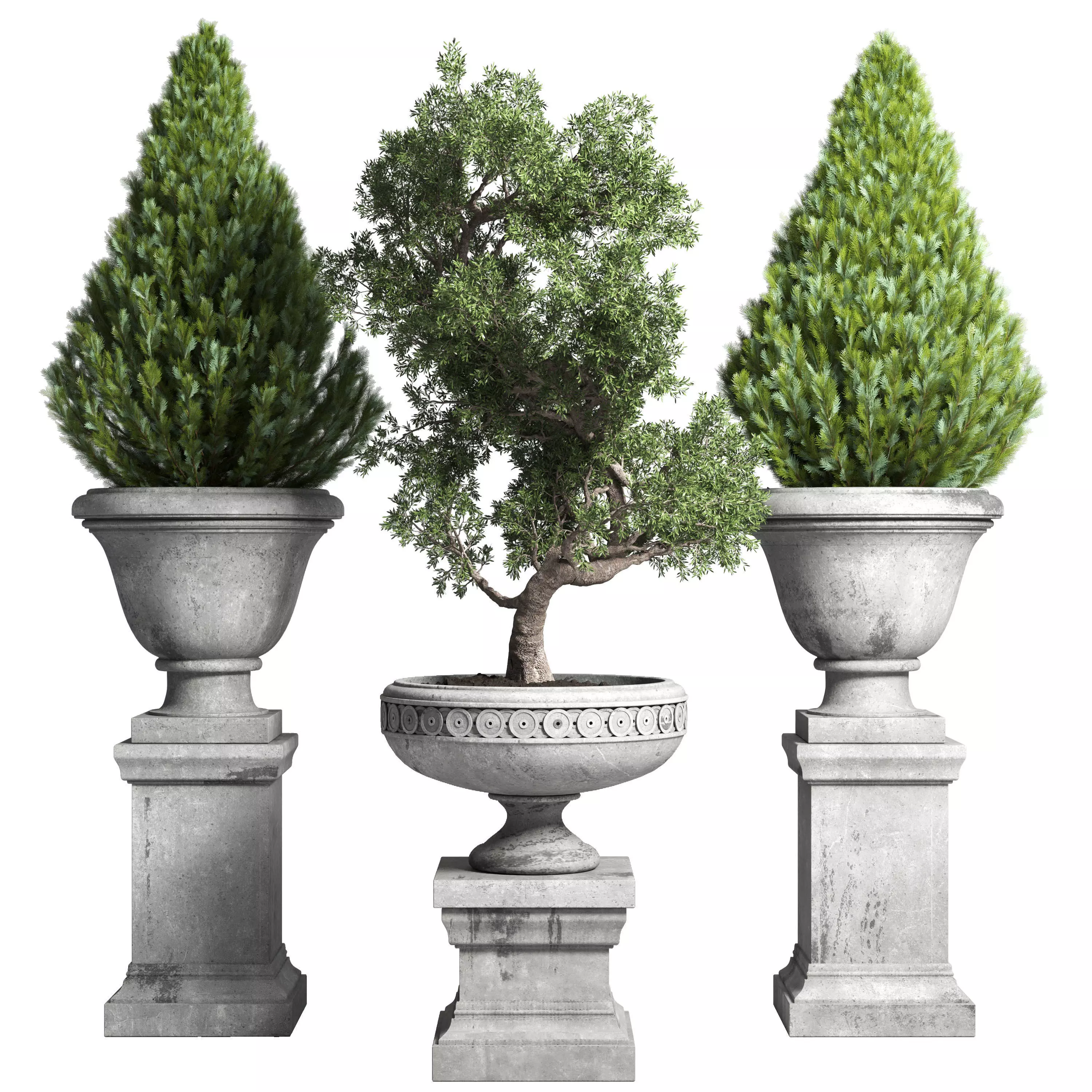  Outdoor plant 44- tree thuja bonsai concrete old classic vase 3D model_0