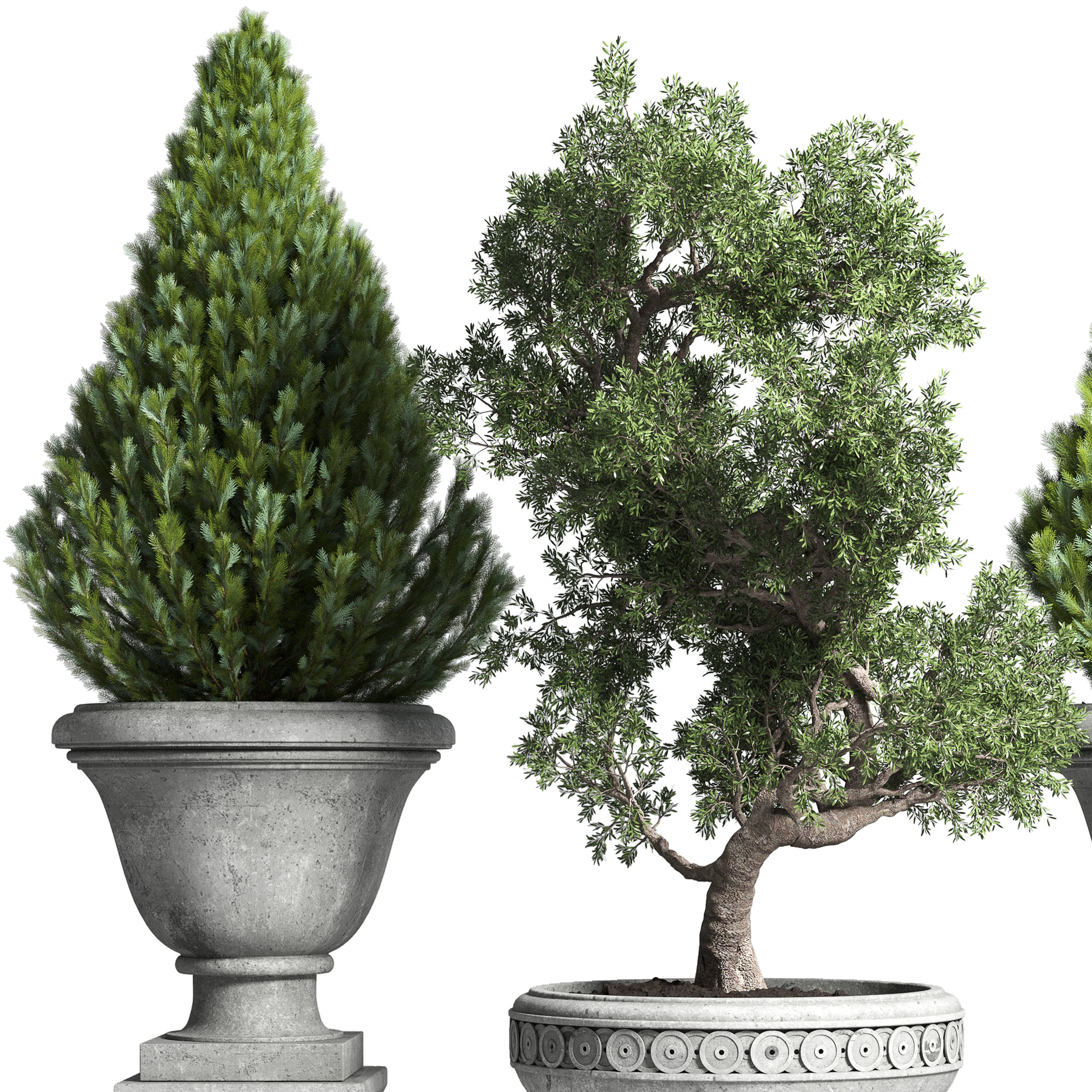  Outdoor plant 44- tree thuja bonsai concrete old classic vase 3D model_4