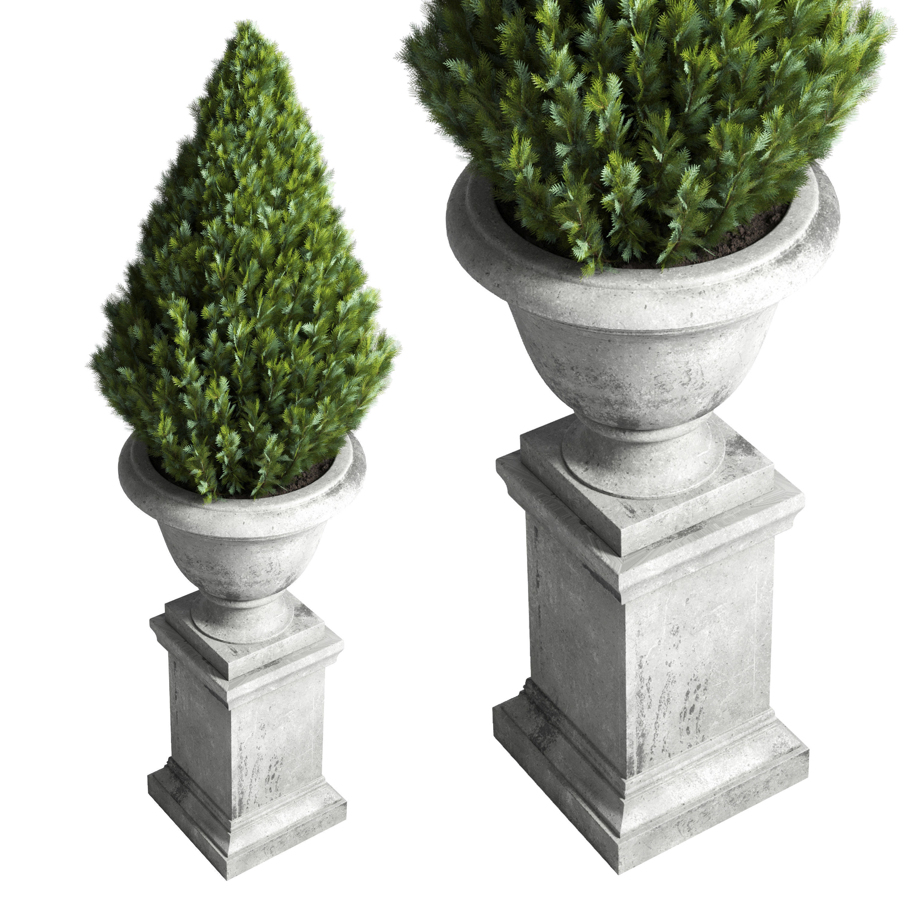  Outdoor plant 44- tree thuja bonsai concrete old classic vase 3D model_1