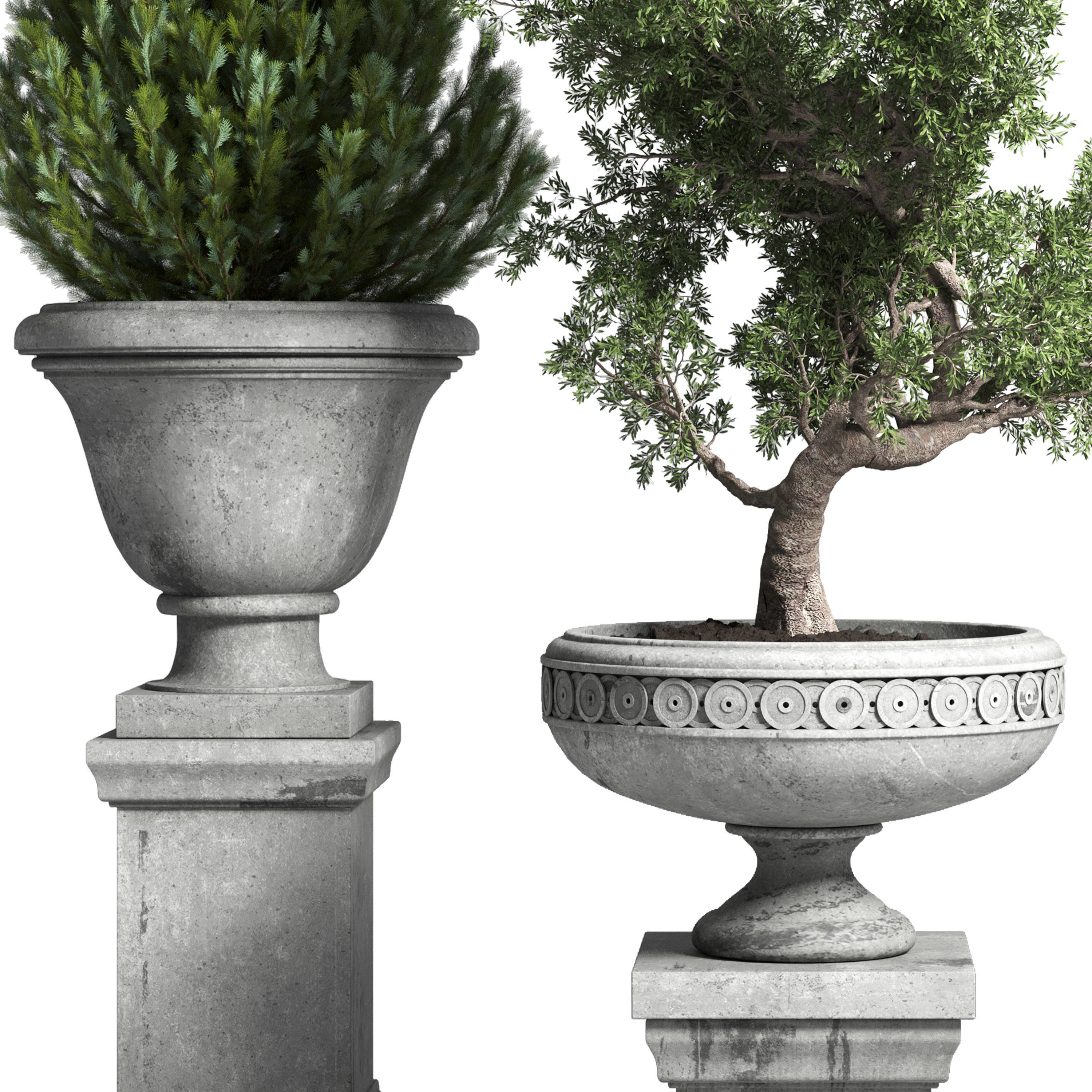  Outdoor plant 44- tree thuja bonsai concrete old classic vase 3D model_3