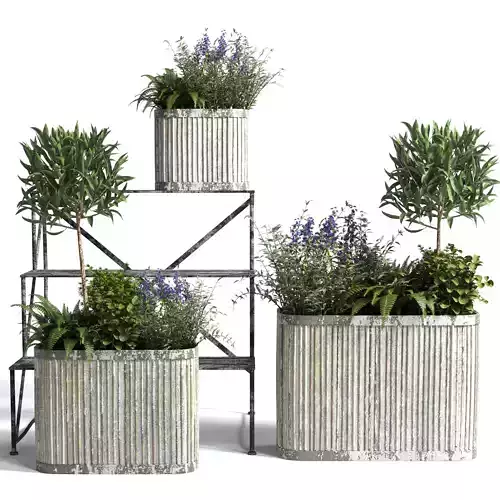  Outdoor plant pot tree plant flower old metal dirt vase bax