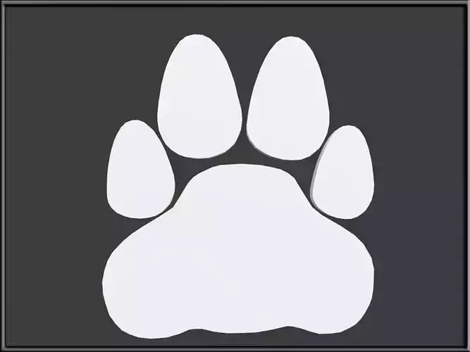 Cat Foot Print