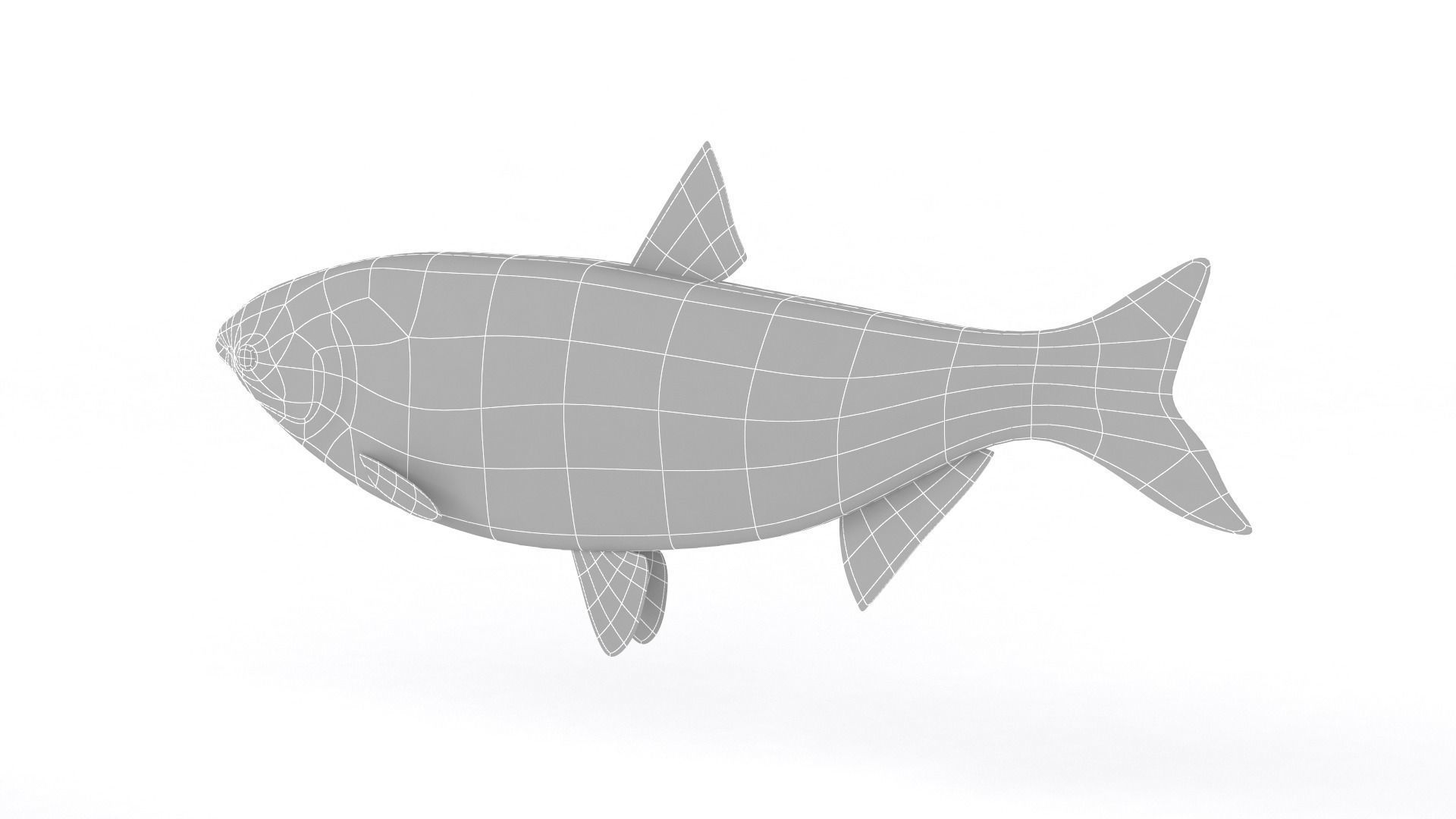 Silver Carp 3D model_7