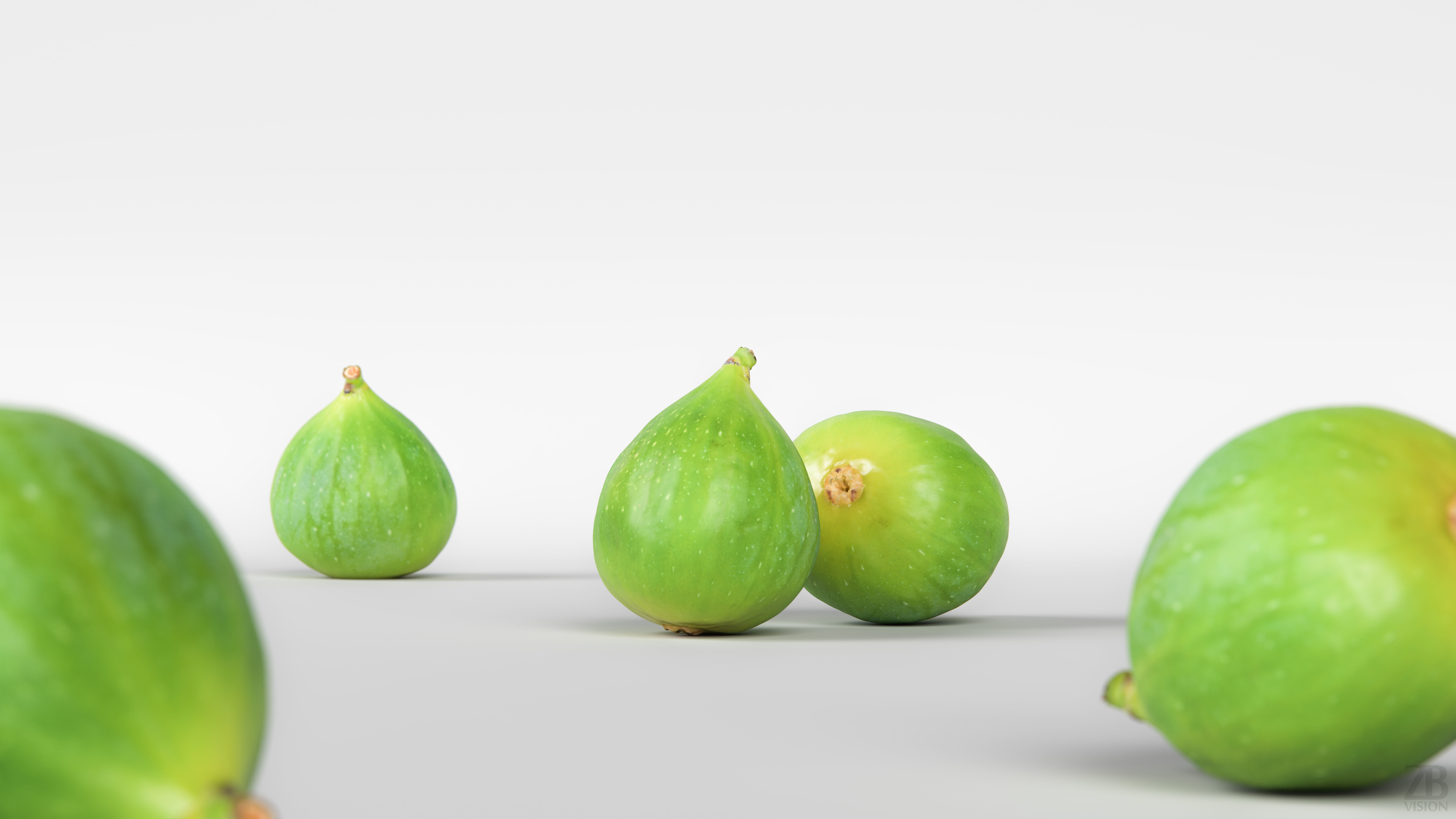 Fig   3D model_1
