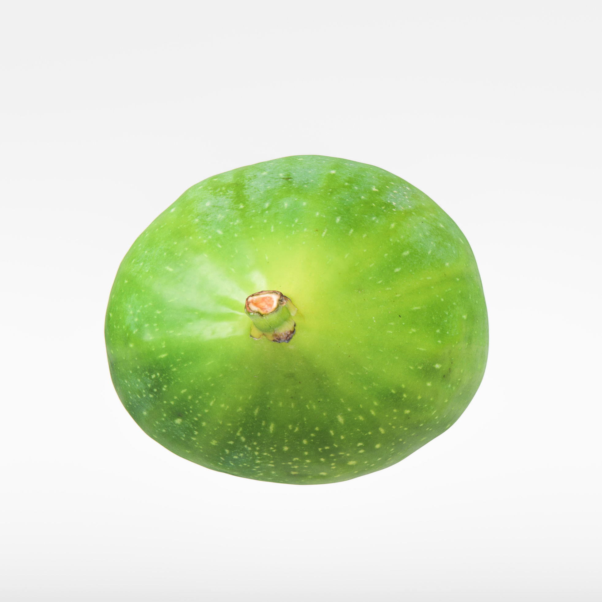 Fig   3D model_6