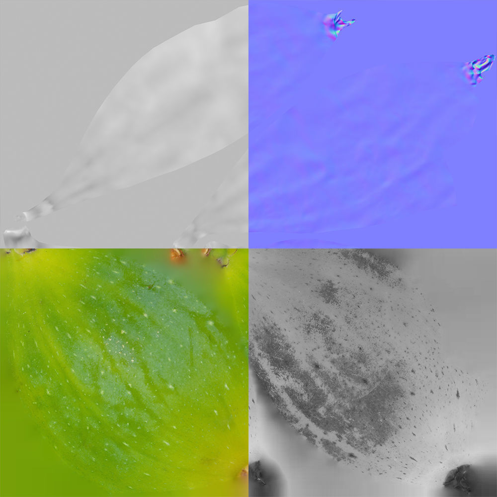 Fig   3D model_11