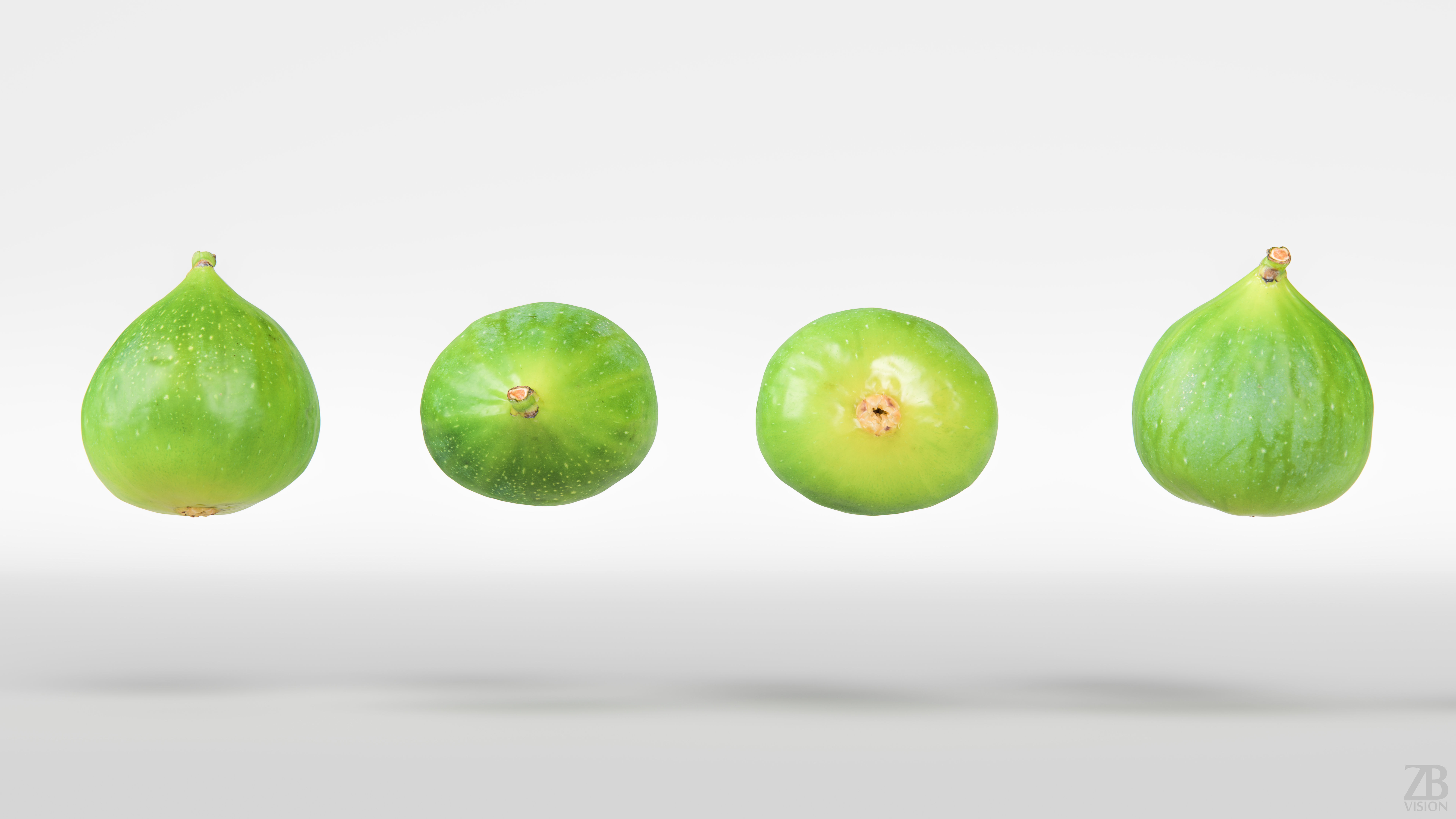 Fig   3D model_4