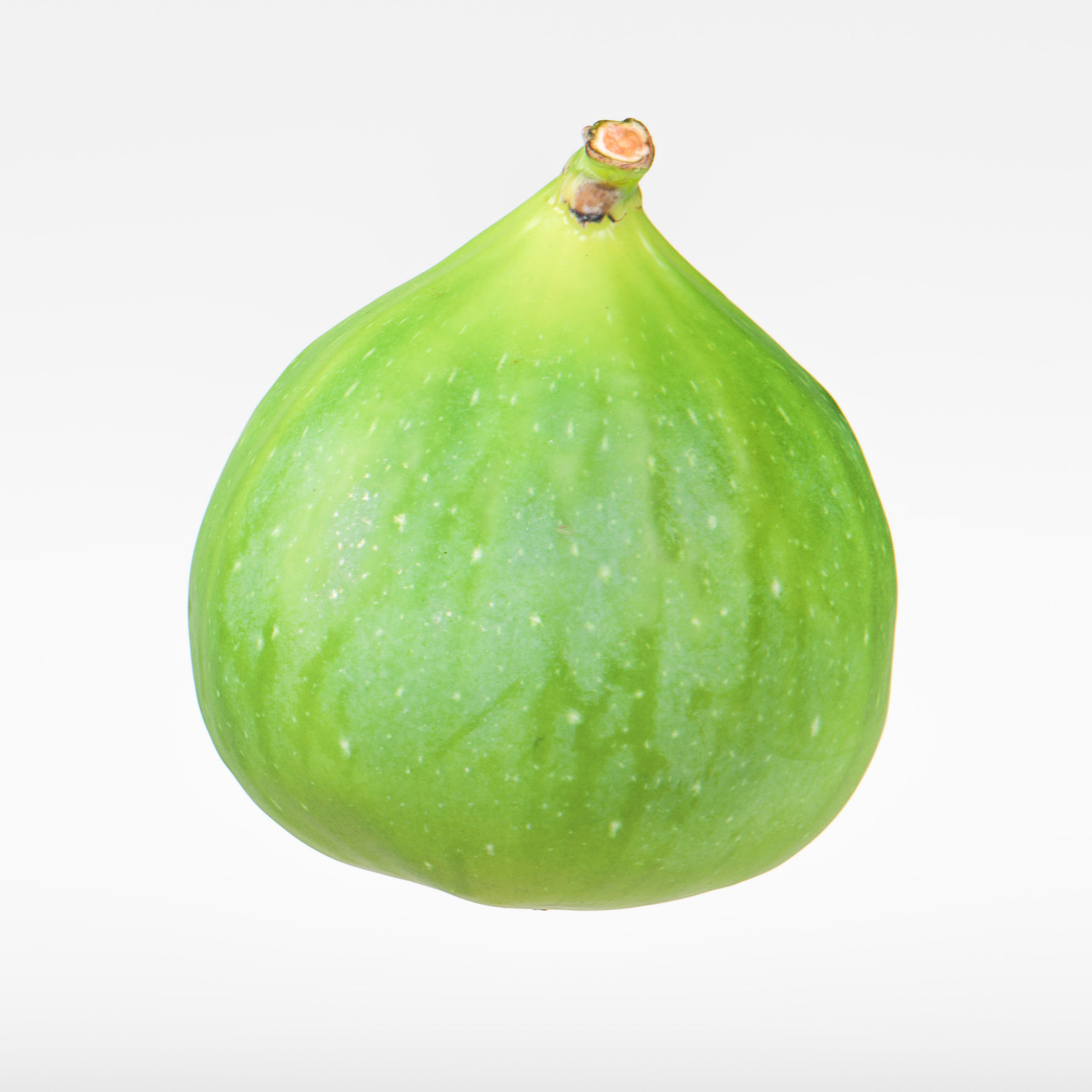 Fig   3D model_8