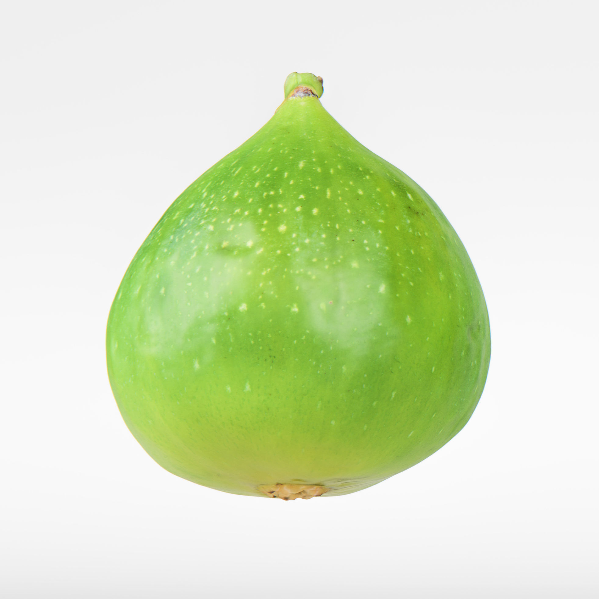 Fig   3D model_5