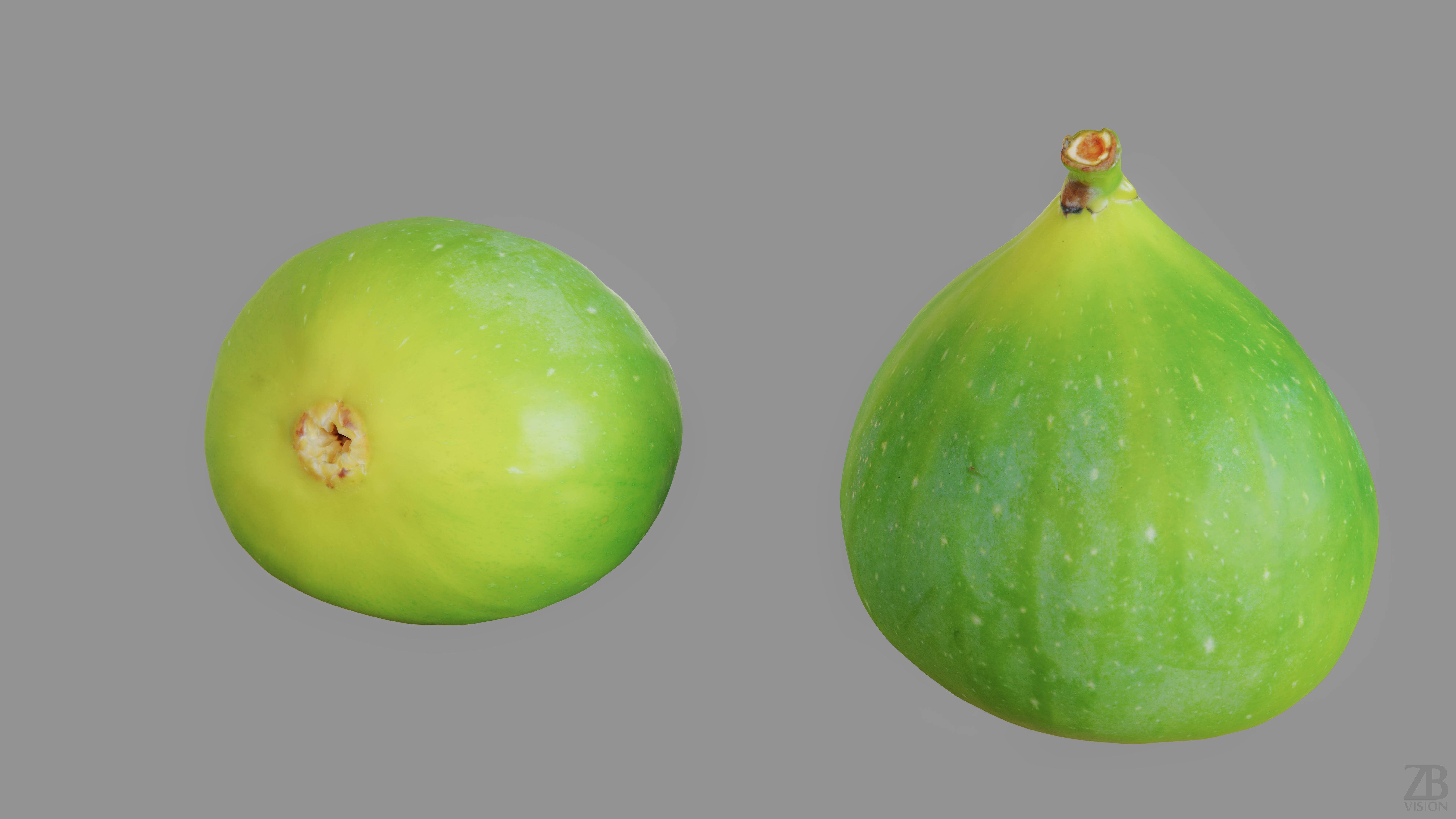 Fig   3D model_12