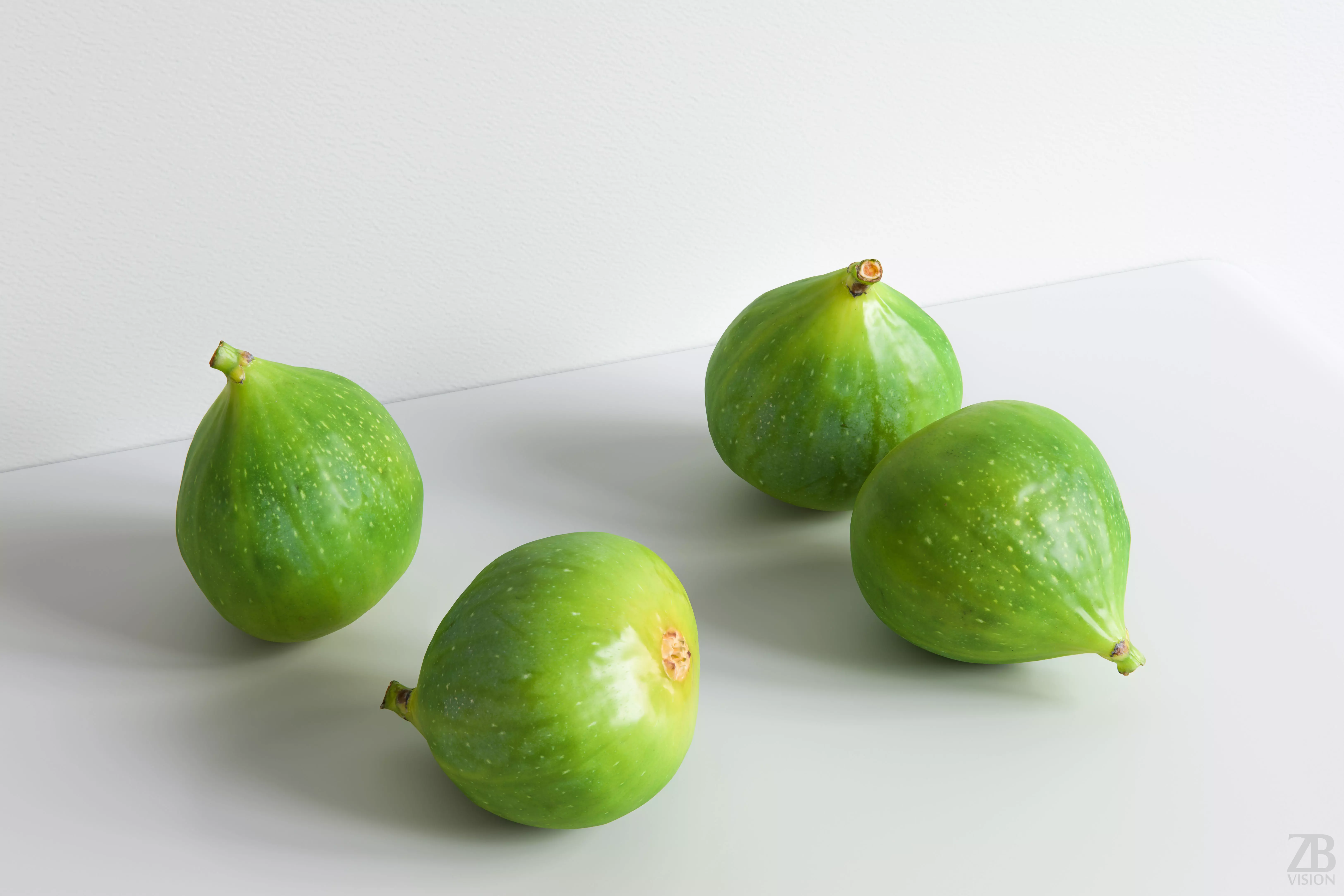 Fig   3D model_0