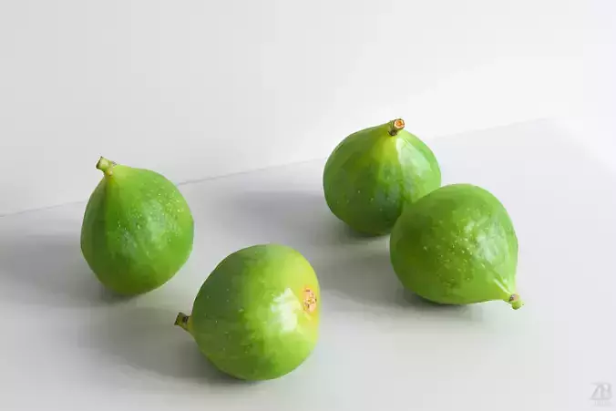 Fig   3D model