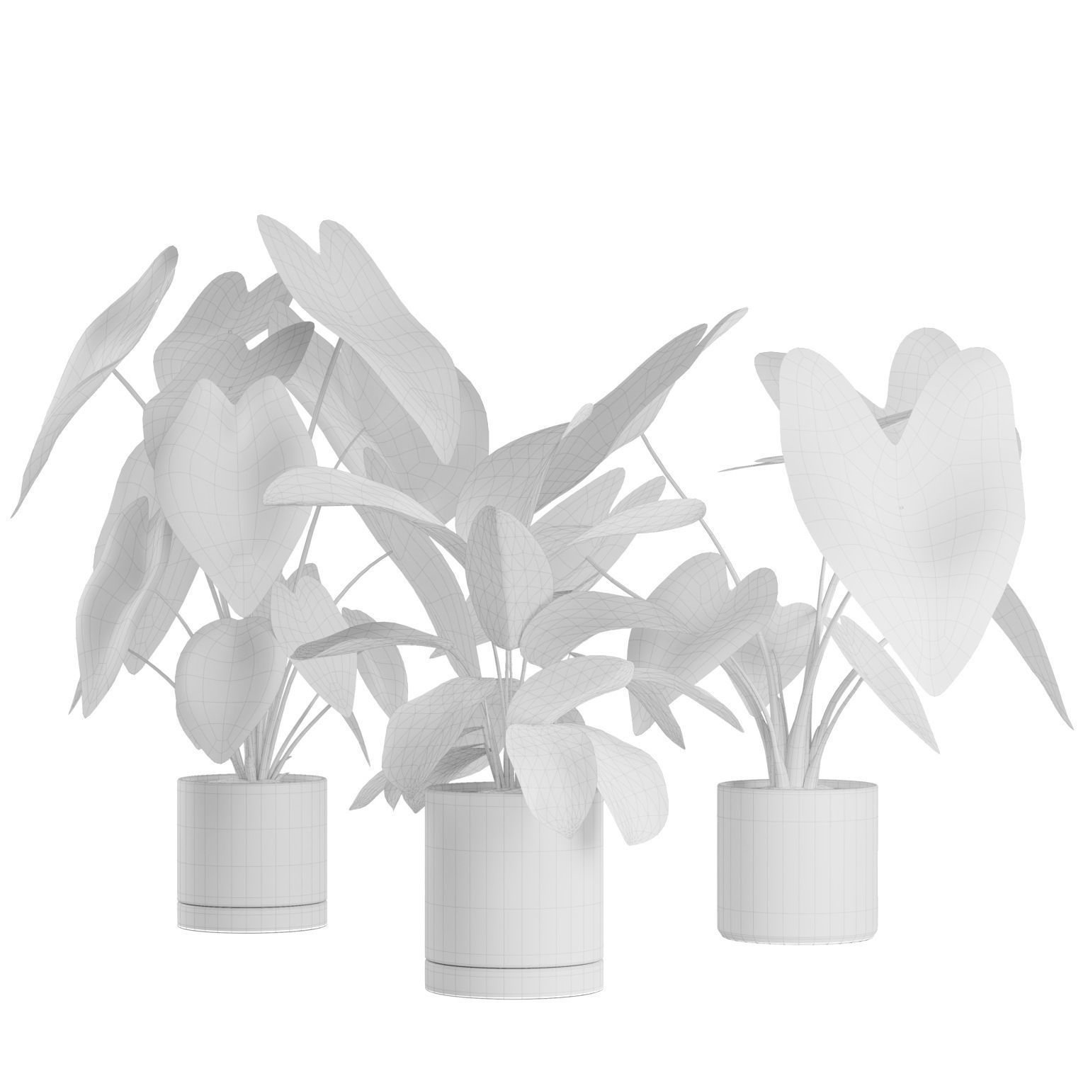 Indoor Plants Pack 03 3D model_1