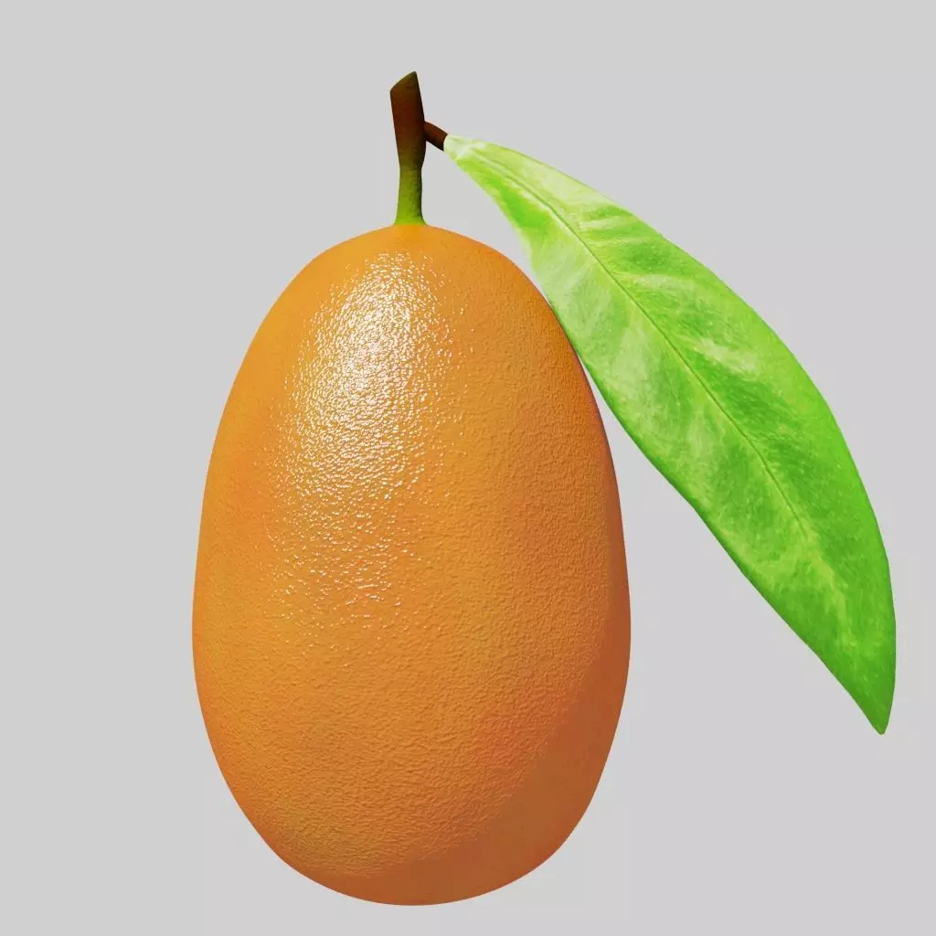 Kumquad orange fruit with leaf 3D model