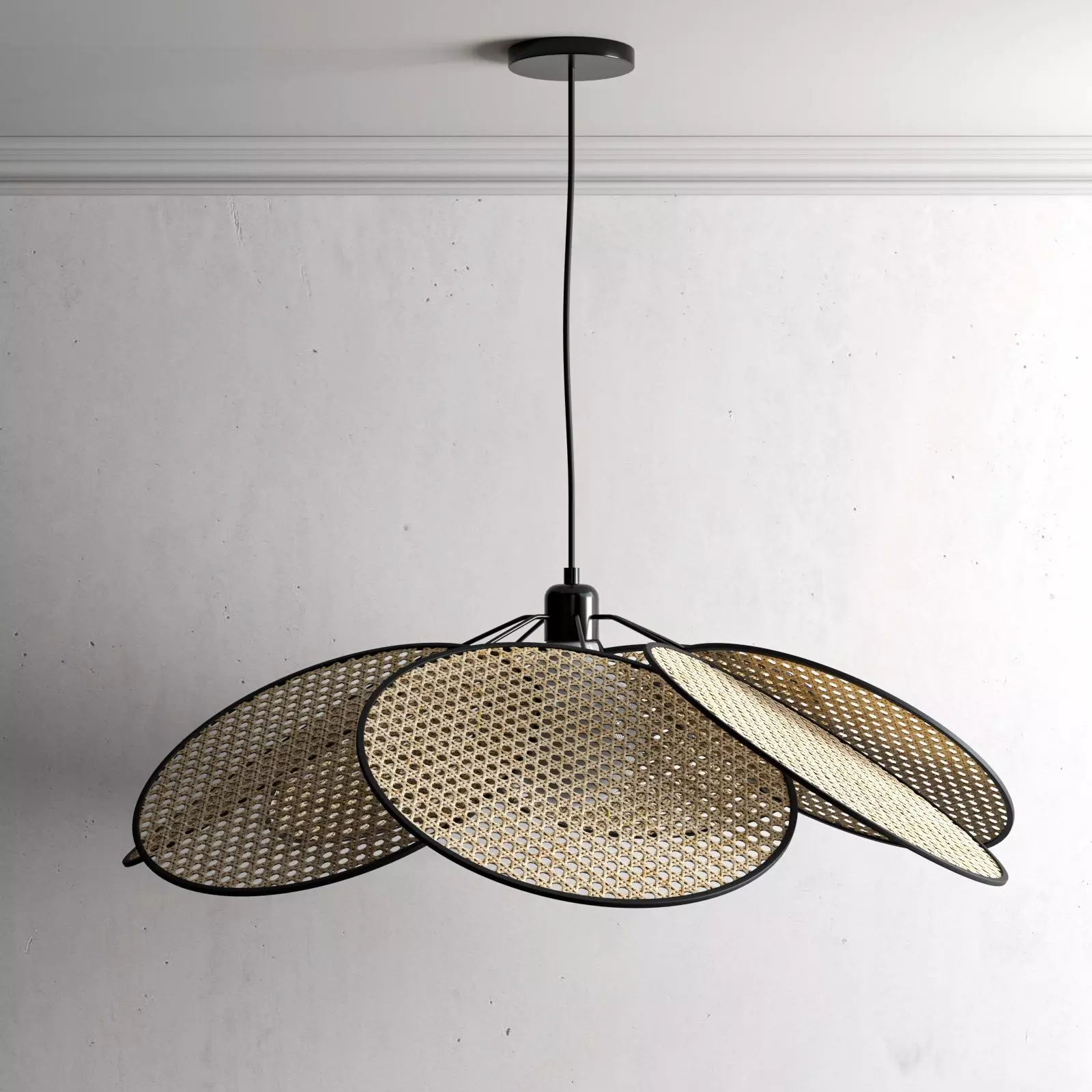Evasion Pendant Lamp 3D model_0