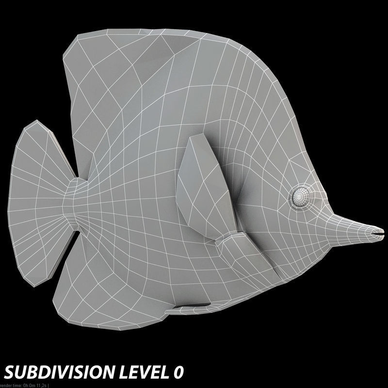 Buterfly Tropical Fish 3D model_4