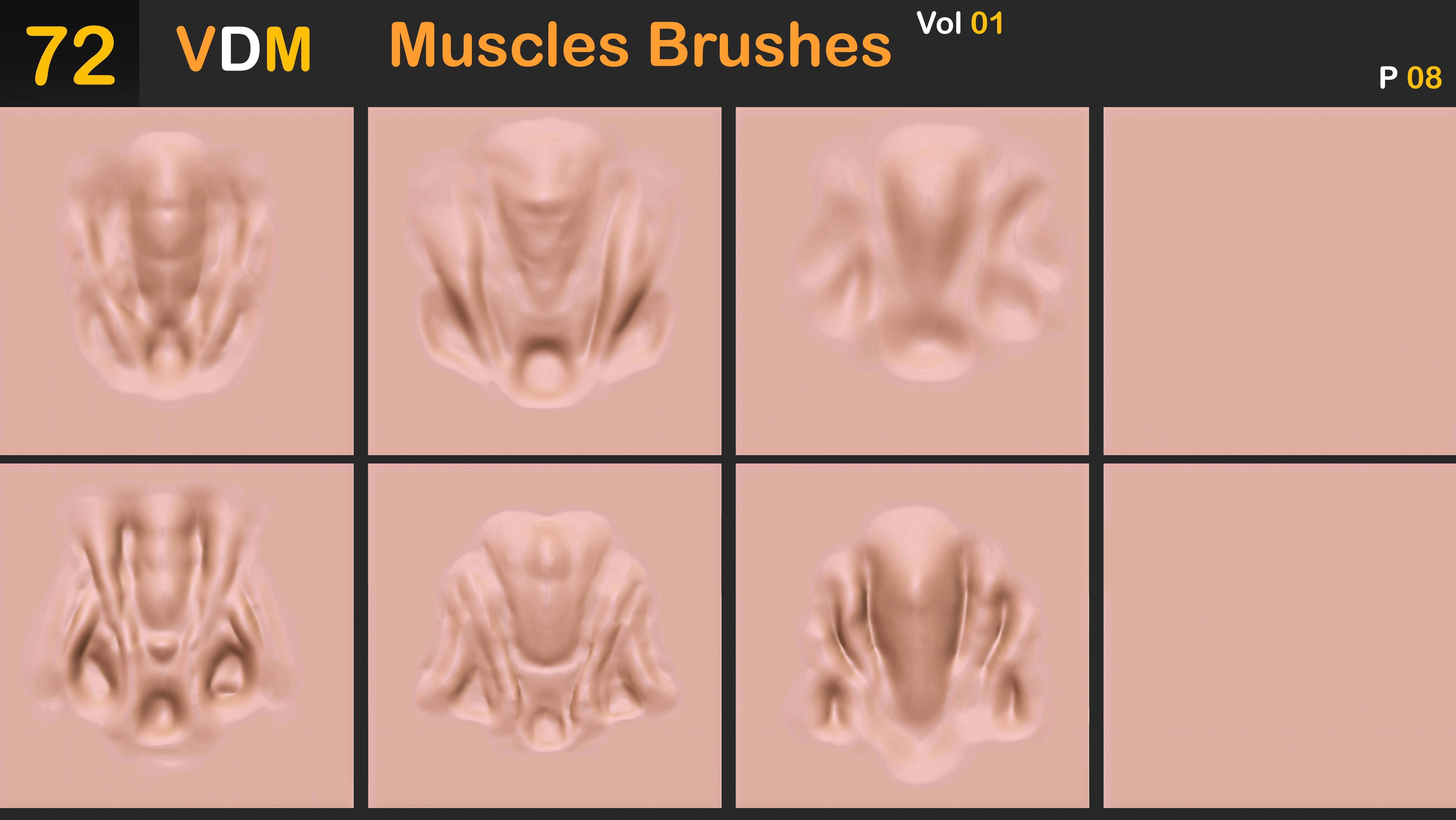 72 VDM Muscles Brushes Vol 01 3D model_9