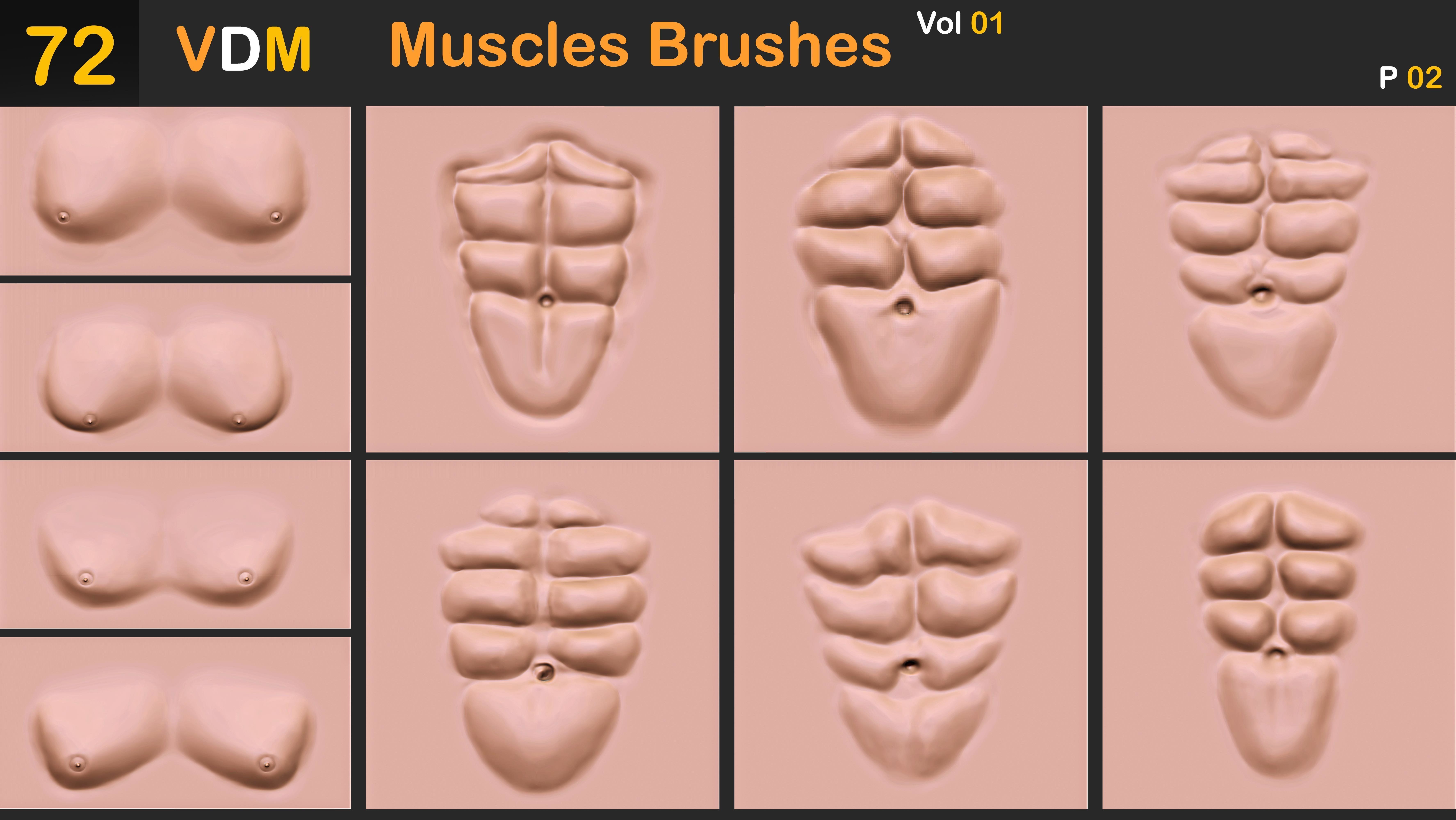 72 VDM Muscles Brushes Vol 01 3D model_3
