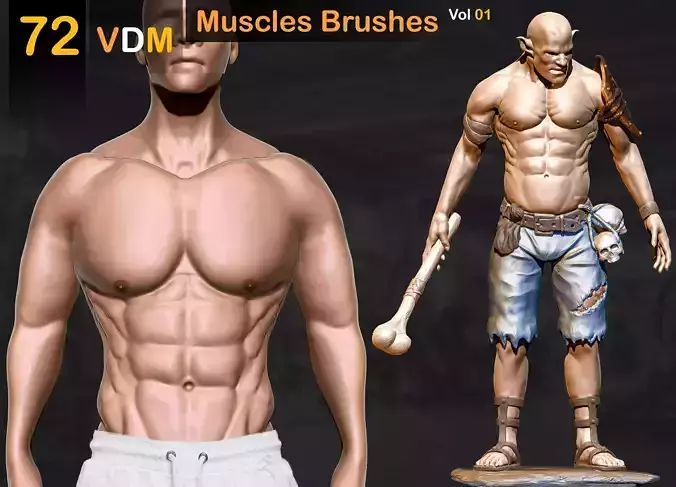72 VDM Muscles Brushes  Vol 01 3D model