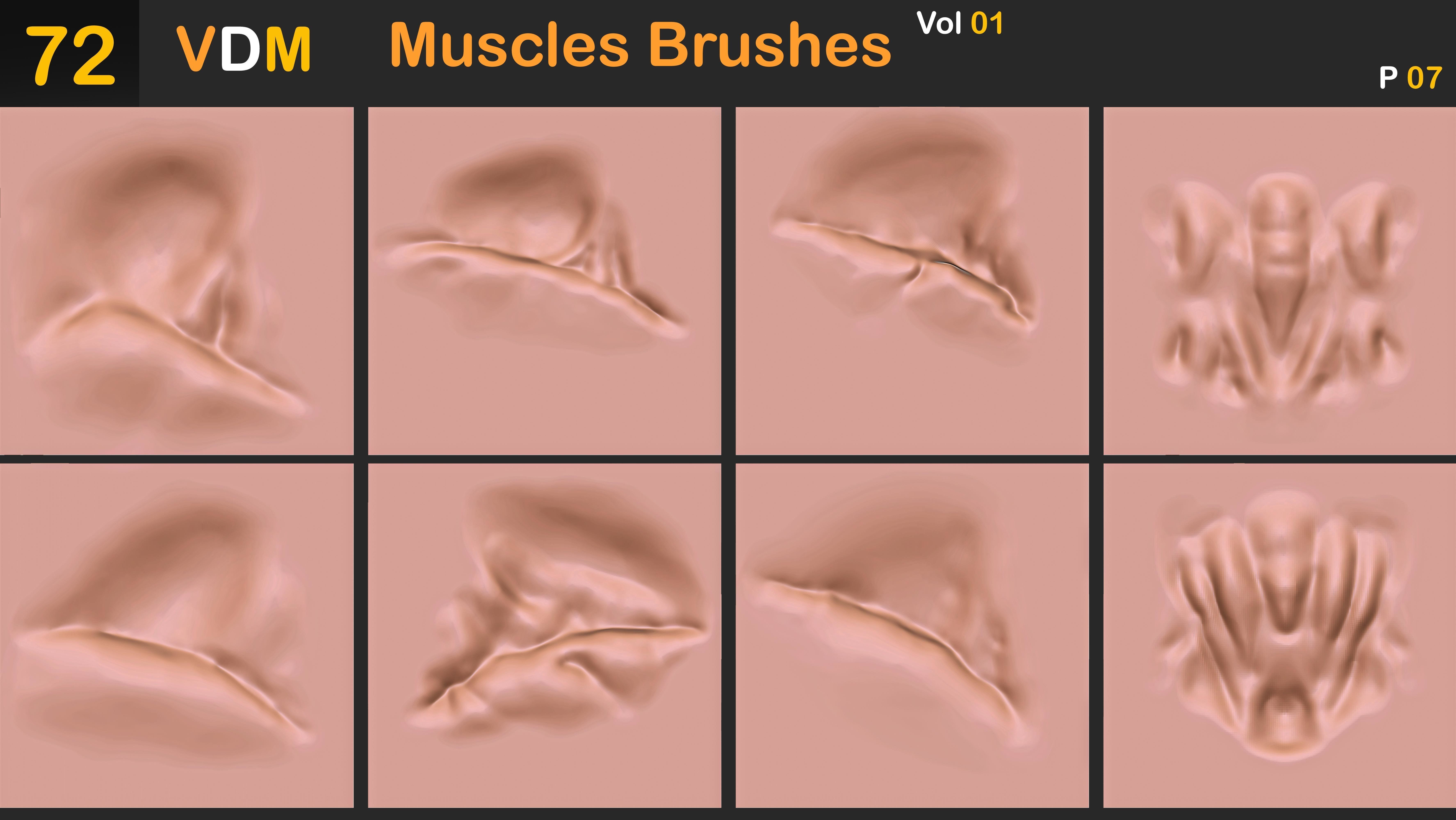 72 VDM Muscles Brushes Vol 01 3D model_8