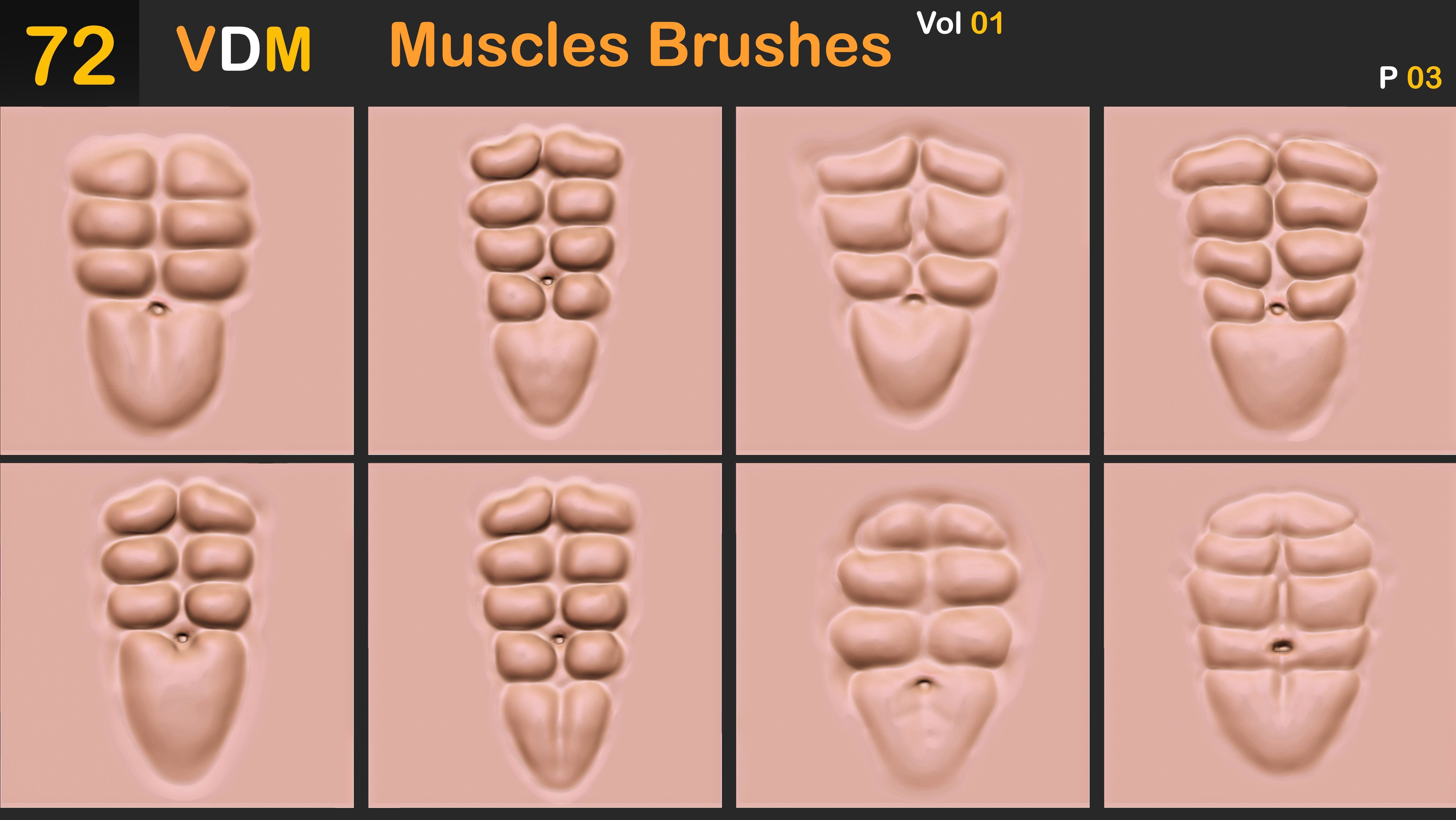 72 VDM Muscles Brushes Vol 01 3D model_4