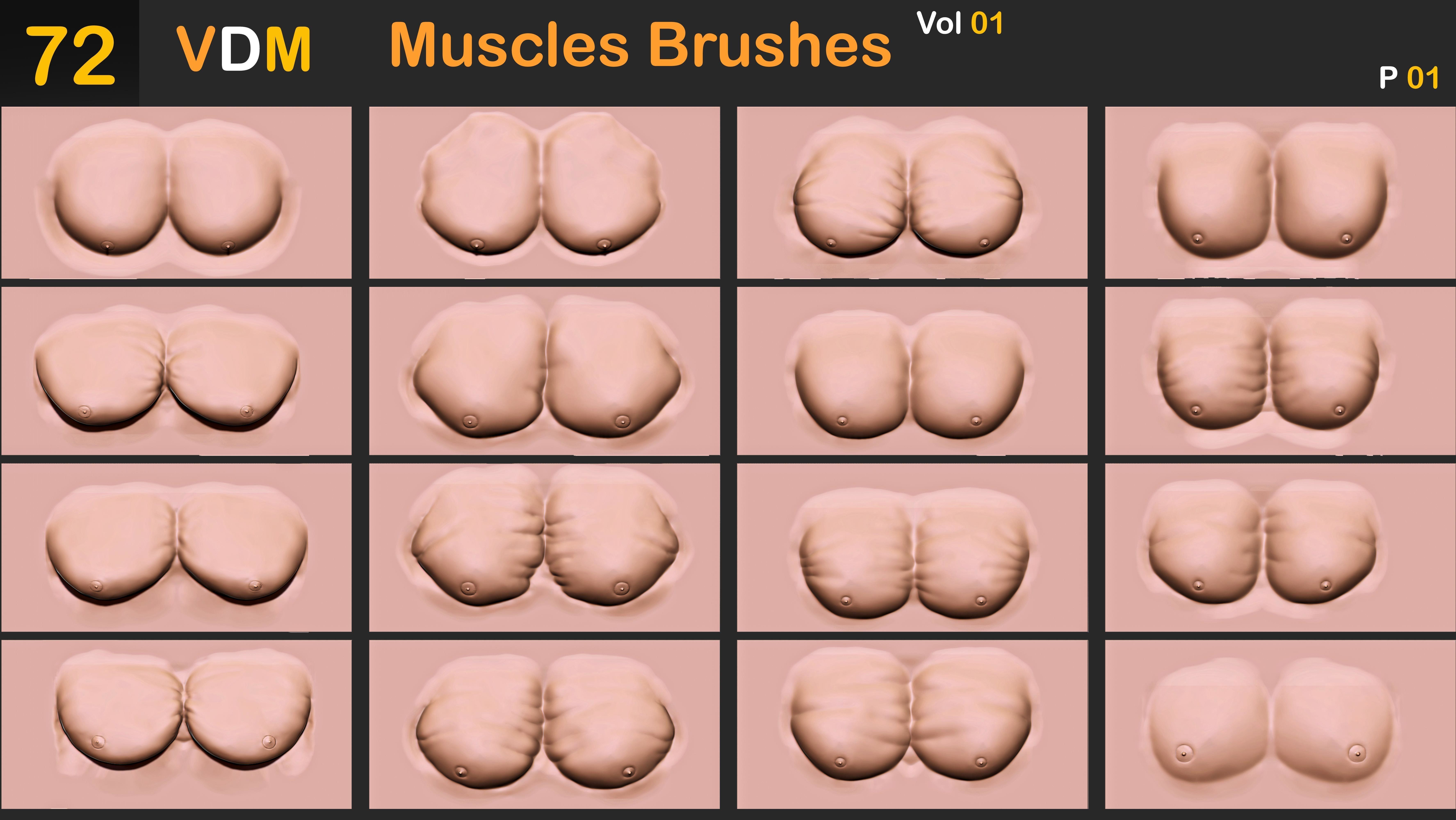 72 VDM Muscles Brushes Vol 01 3D model_2