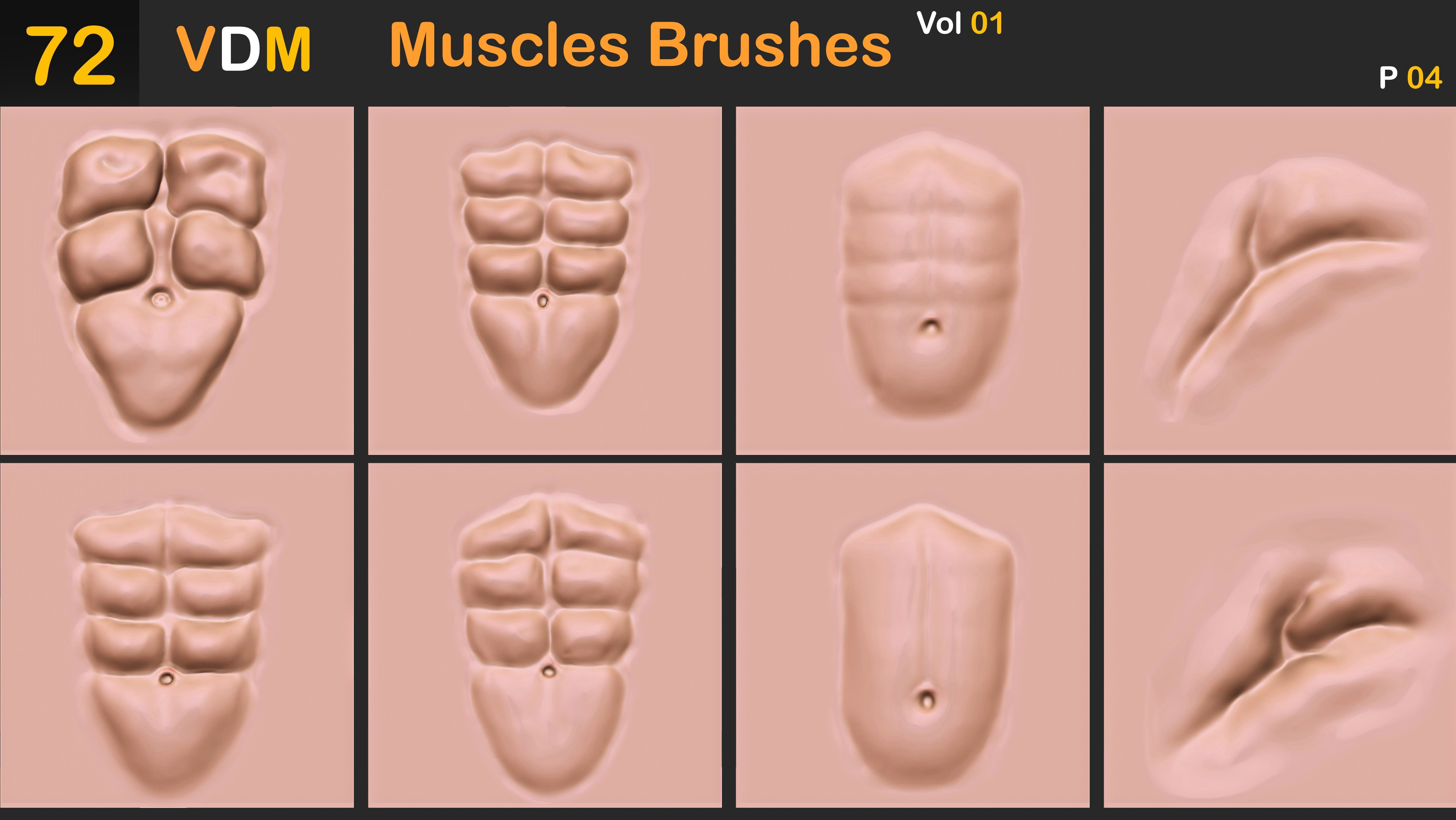 72 VDM Muscles Brushes Vol 01 3D model_5