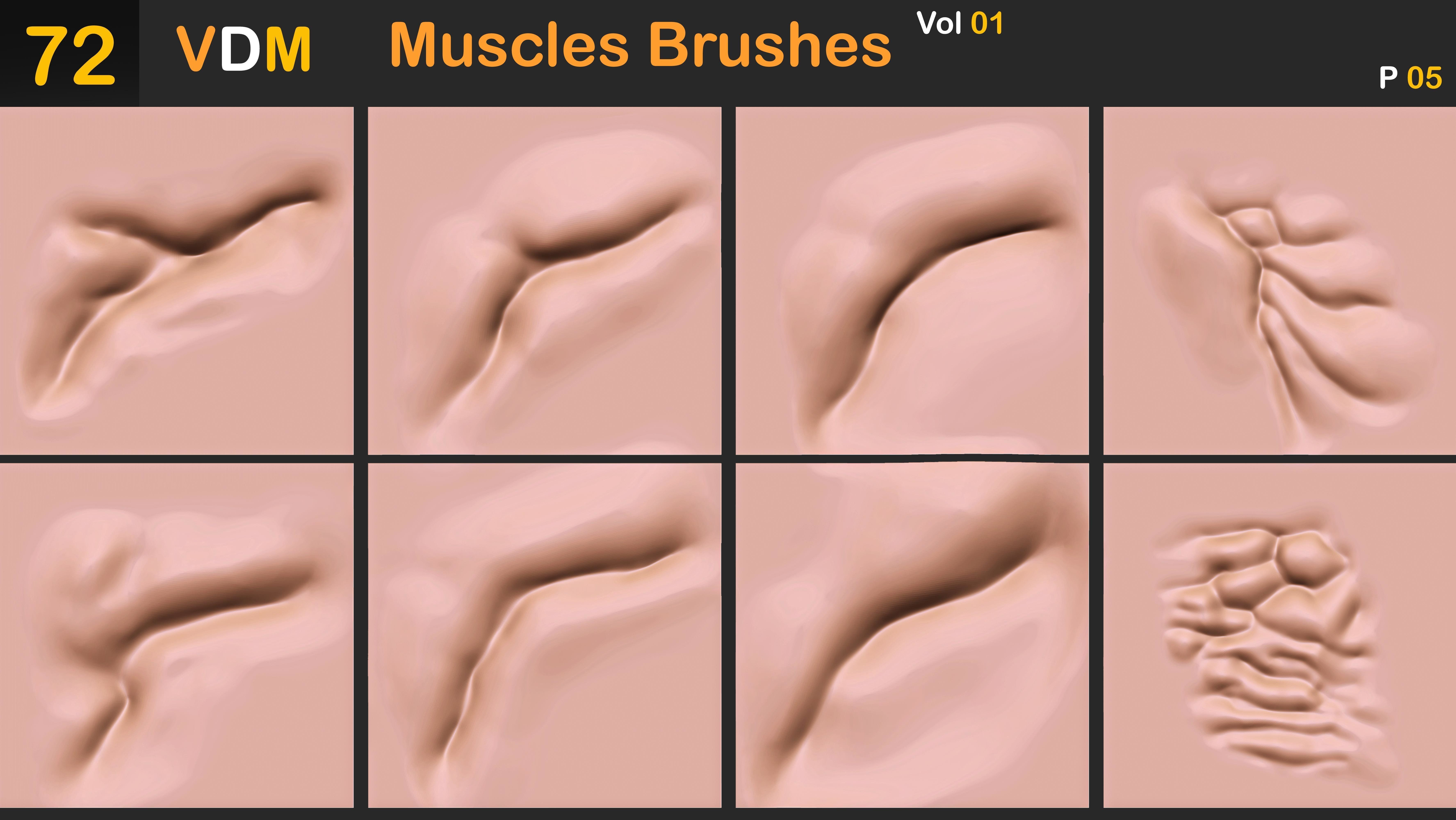 72 VDM Muscles Brushes Vol 01 3D model_6