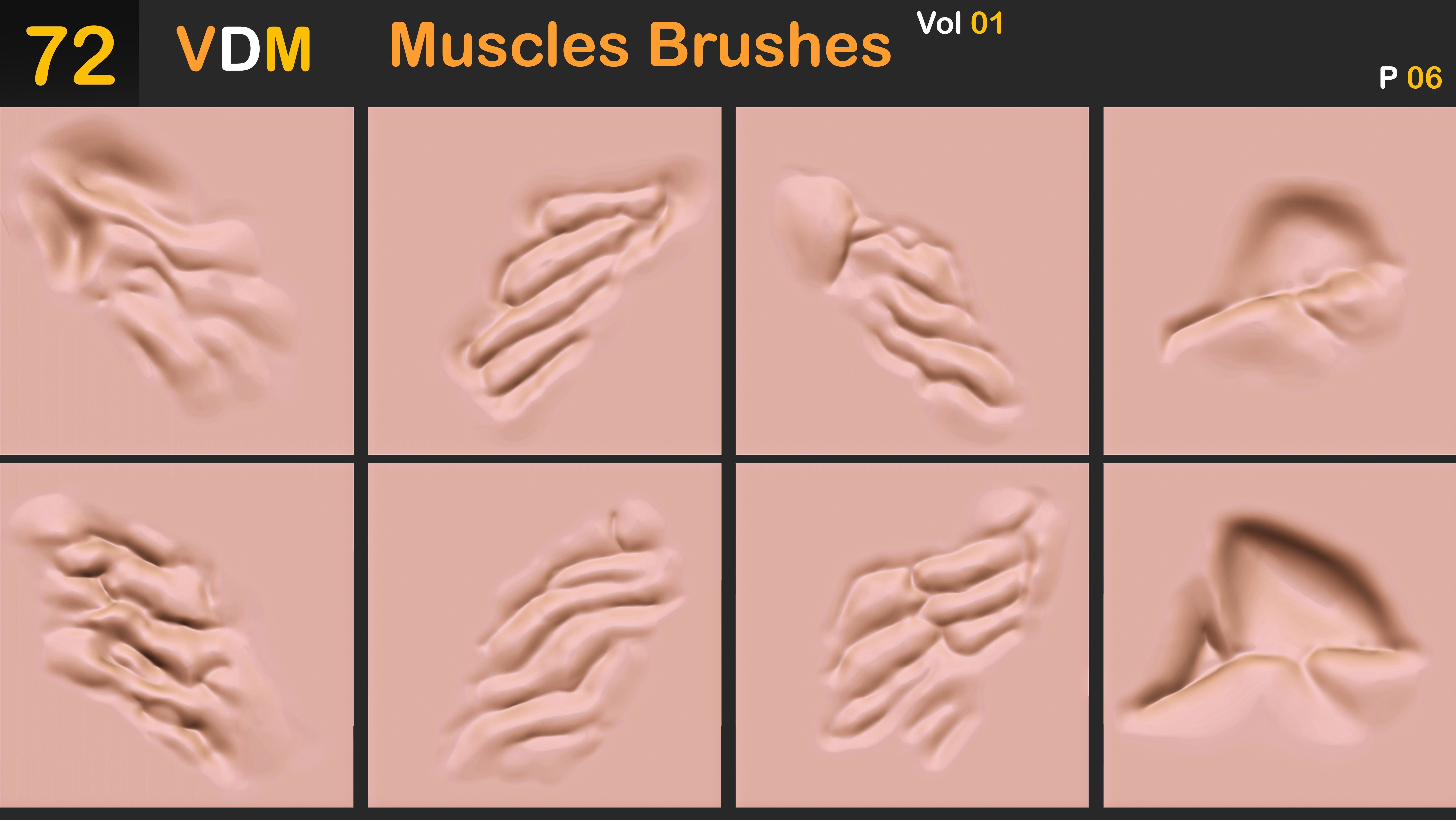72 VDM Muscles Brushes Vol 01 3D model_7