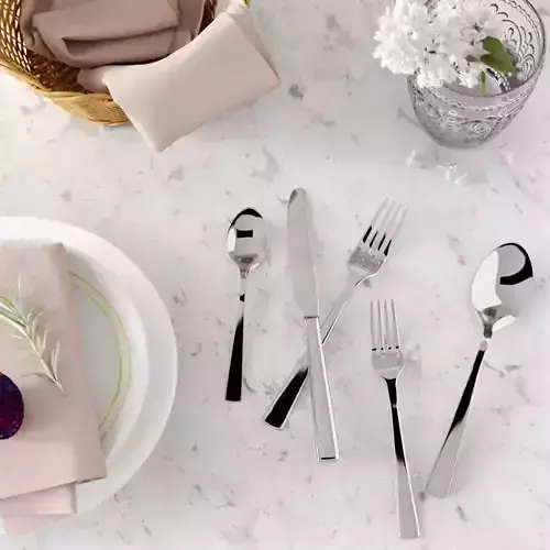 Chancellor Stainless Steel Flatware Set 3D model