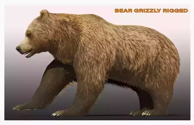 BEAR LOW-POLY RIGGED Low-poly 3D model