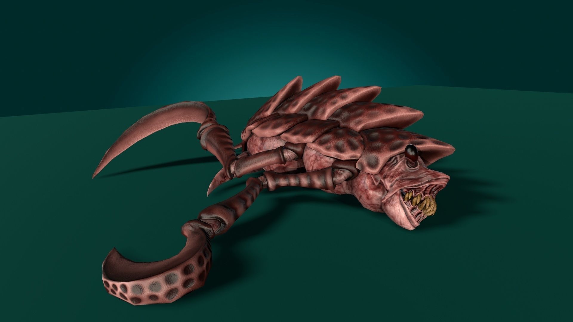 Shell Monster Low-poly 3D model_8