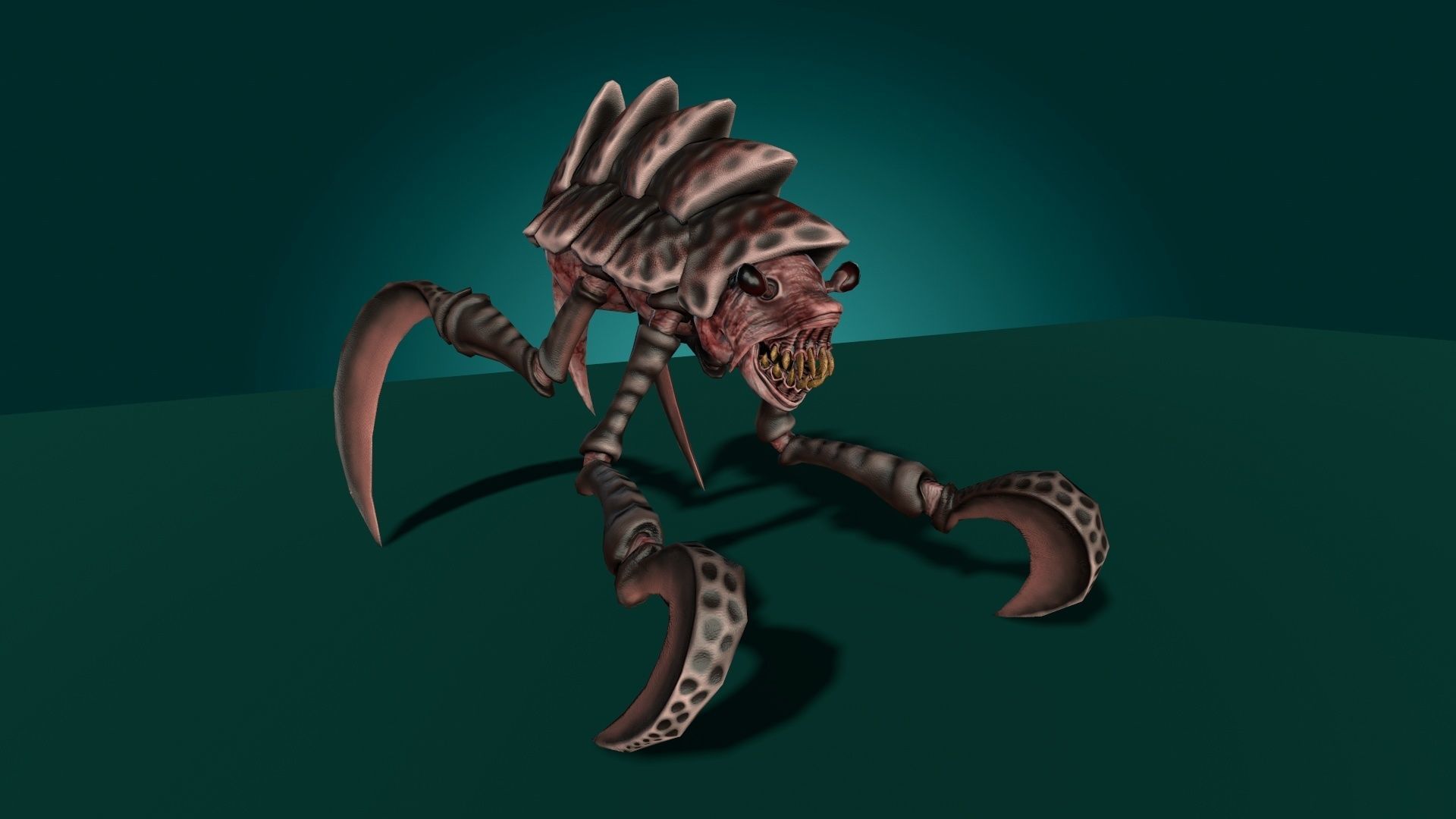 Shell Monster Low-poly 3D model_11