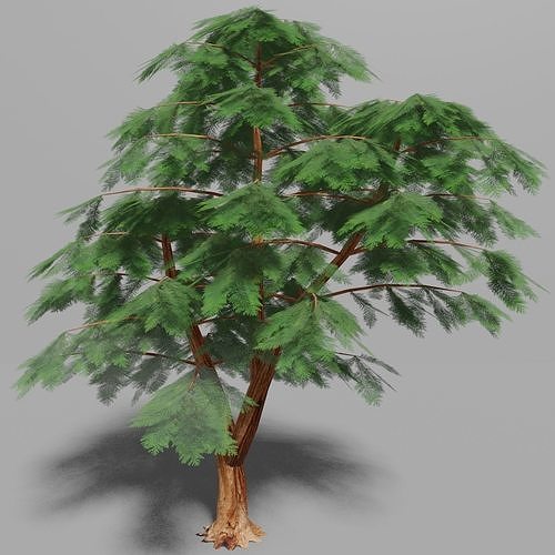 Conifer pine tree Low-poly 3D model