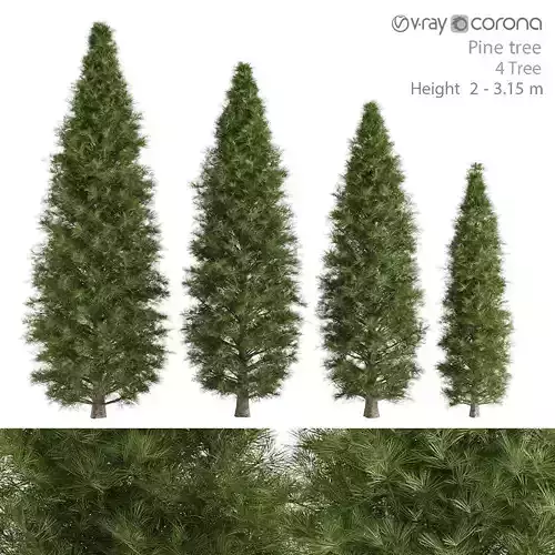 Pine Tree 3D model
