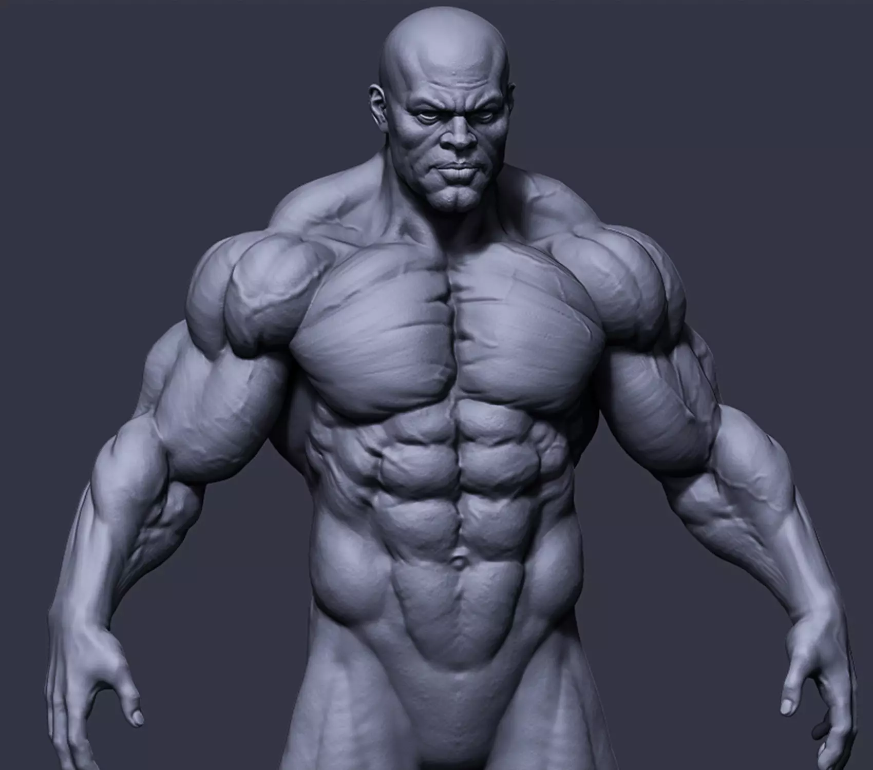 Strong Anatomy 3D model_0