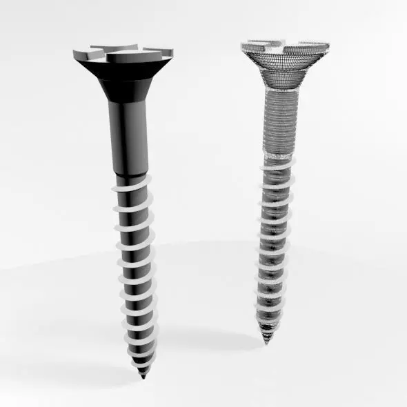 Drywall Screw 02 3D model_0