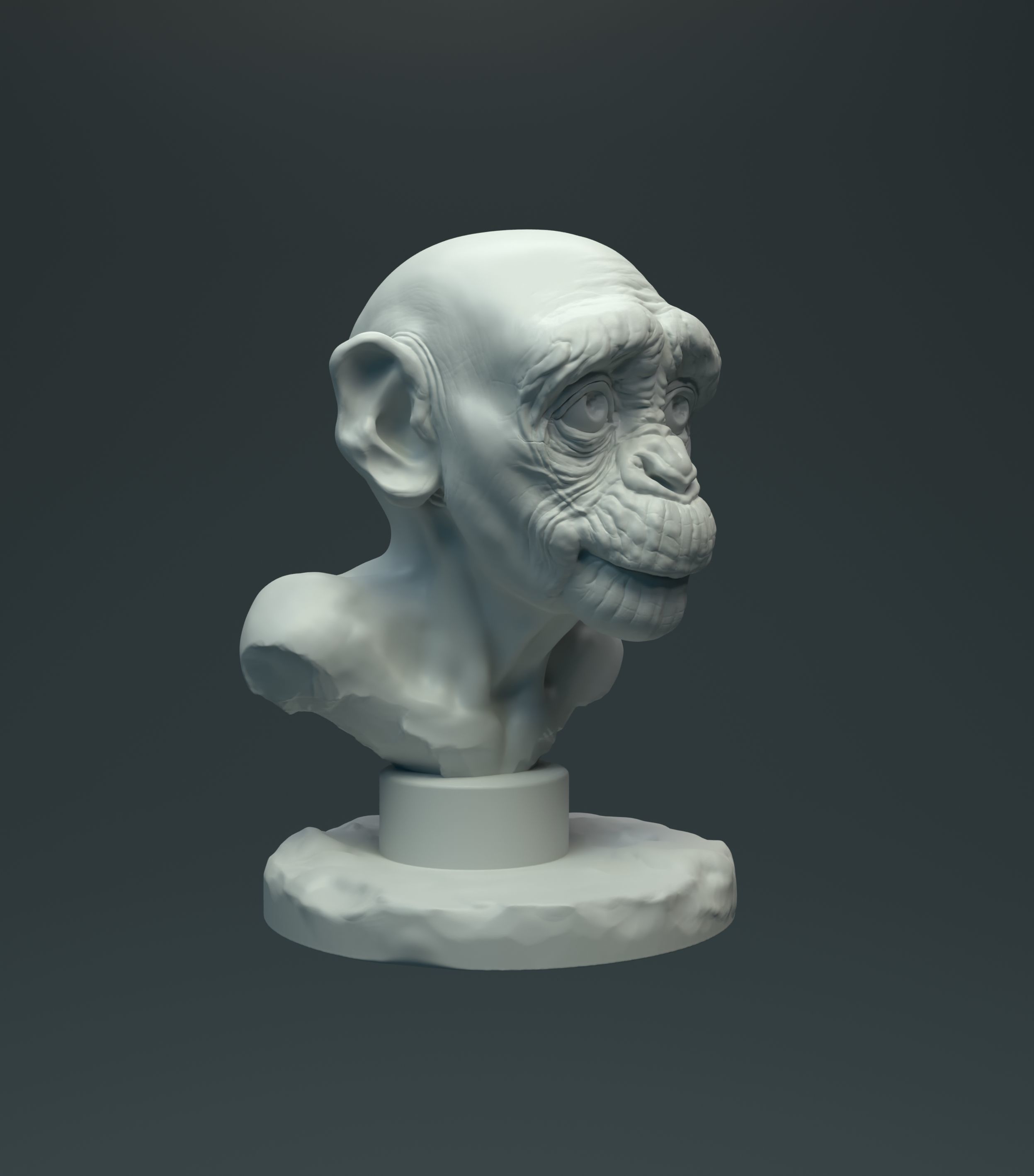 Baby Chimp Bust for 3D printing 3D print model_7