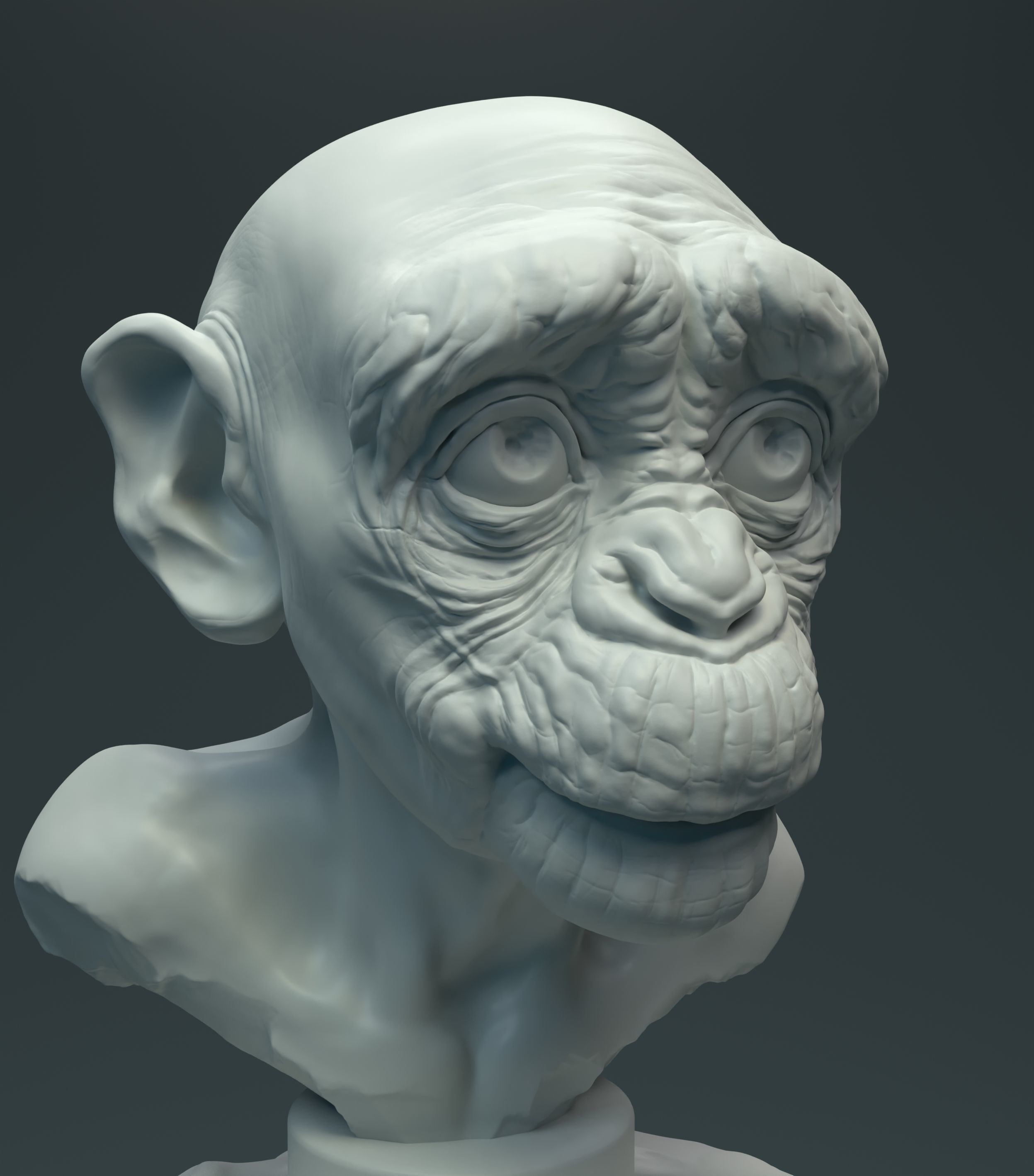 Baby Chimp Bust for 3D printing 3D print model_1