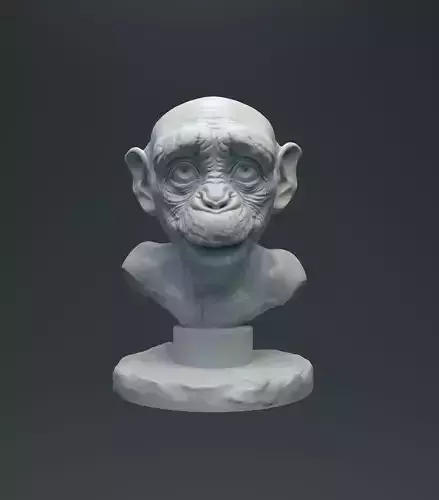 Baby Chimp Bust for 3D printing