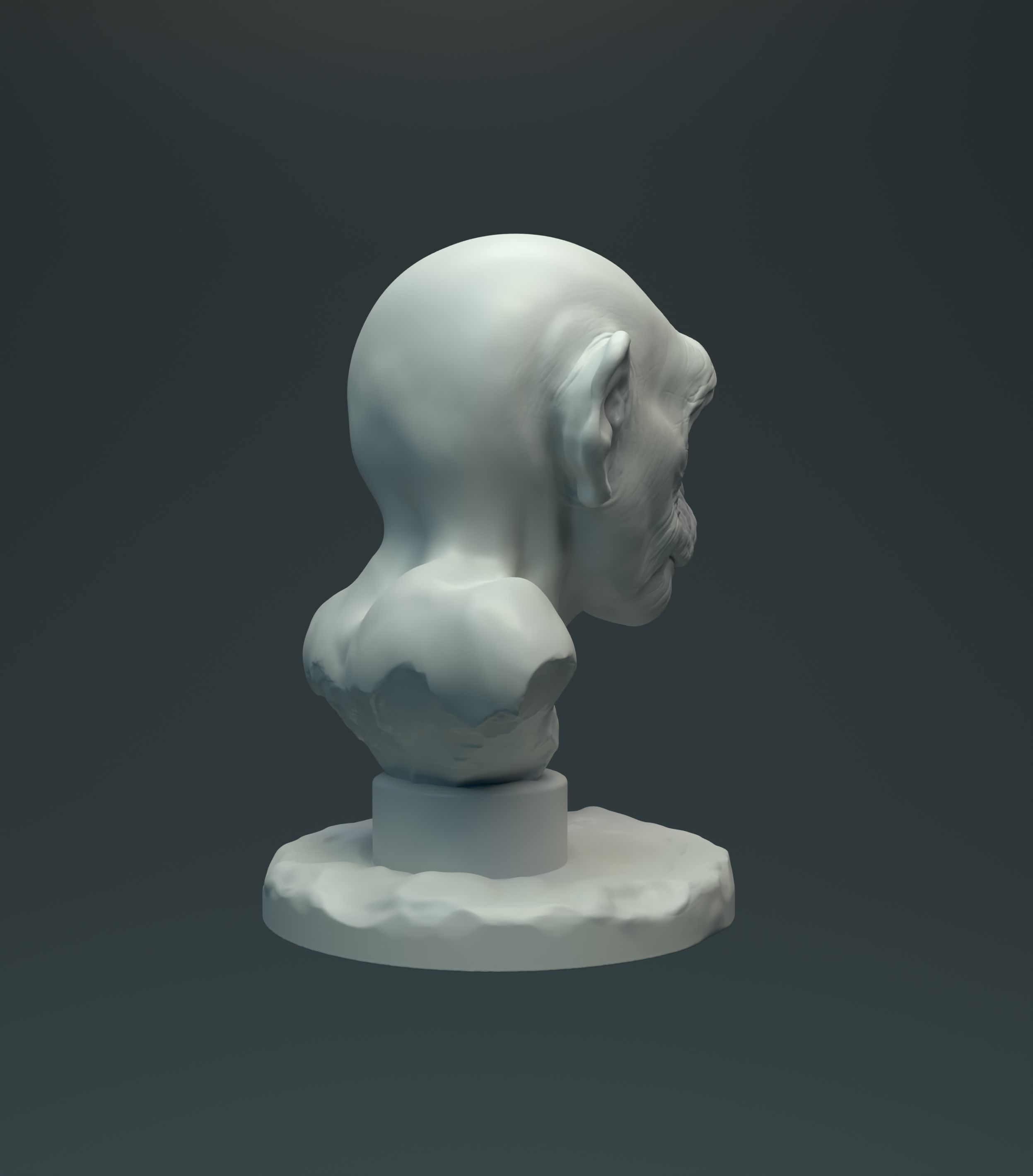 Baby Chimp Bust for 3D printing 3D print model_6